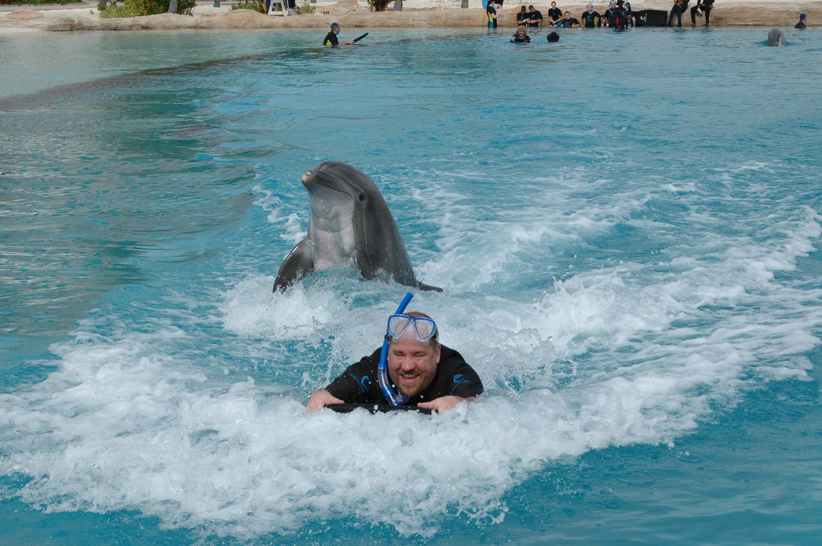 Swimming alongside a dolphin at Dolphin Cay