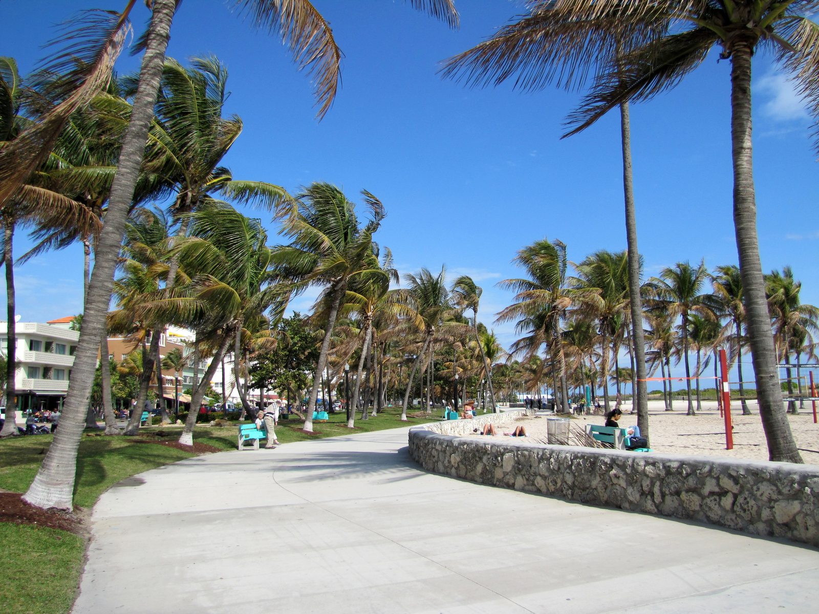 The palm-lined promenade along South Beach