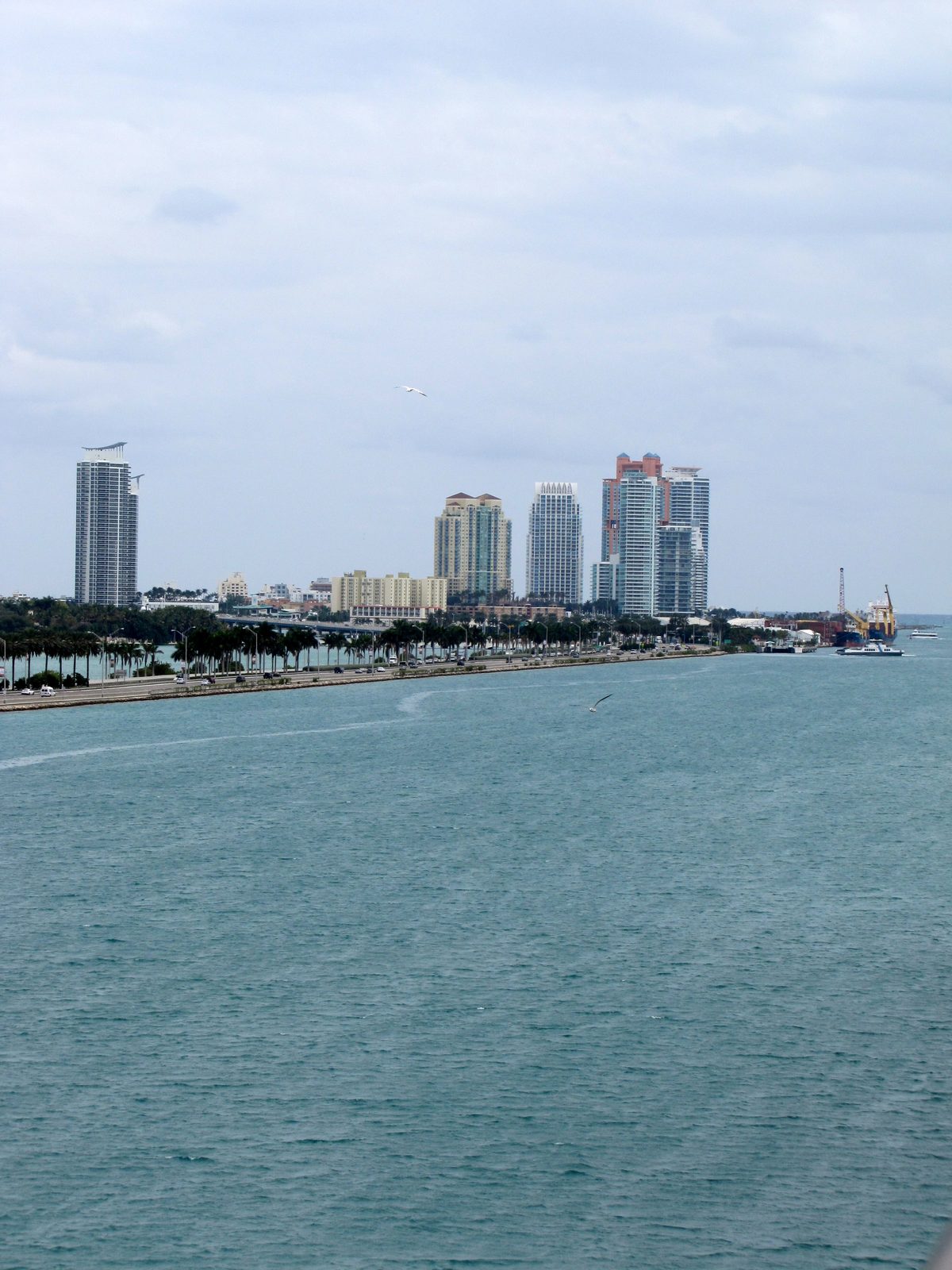 The Miami skyline from the water