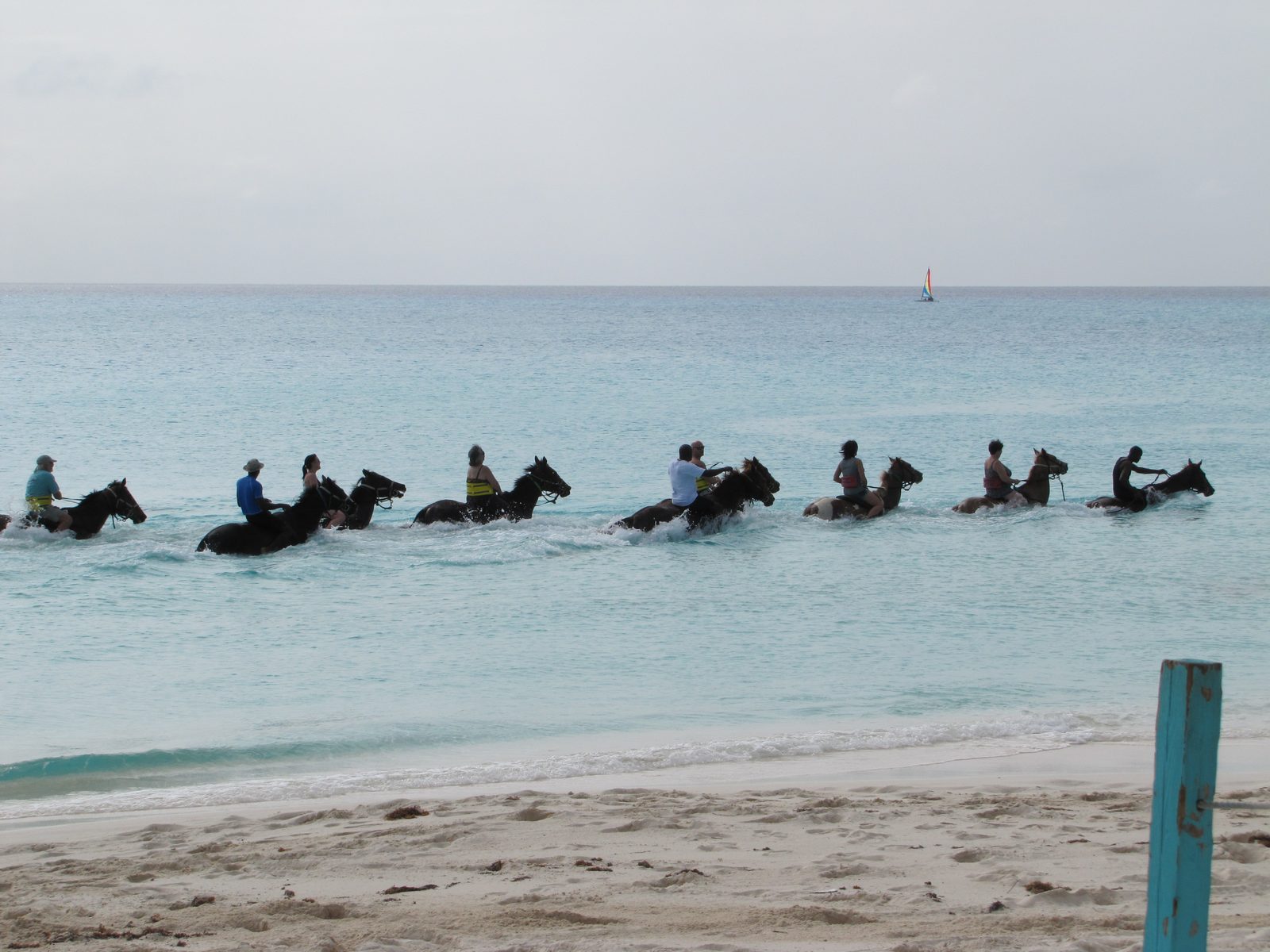 Land and sea horseback riding at Half Moon Cay