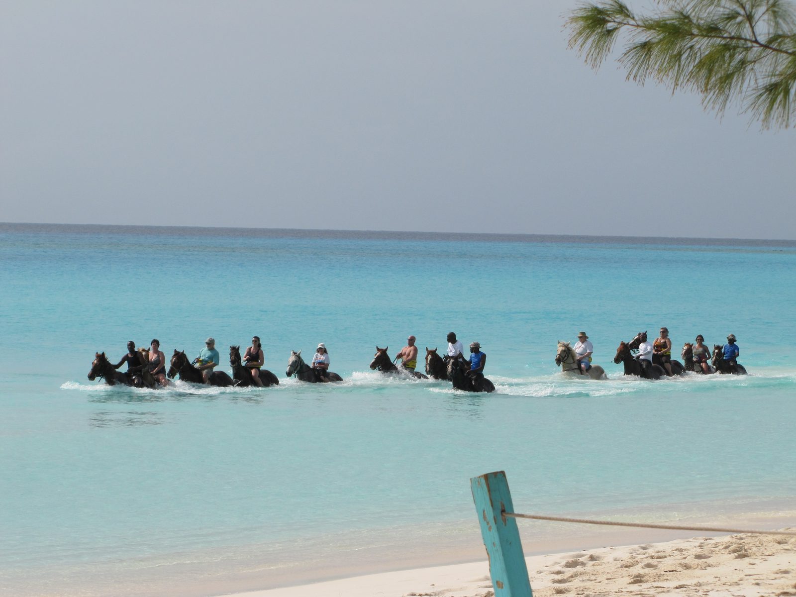 Riders along the shallow water