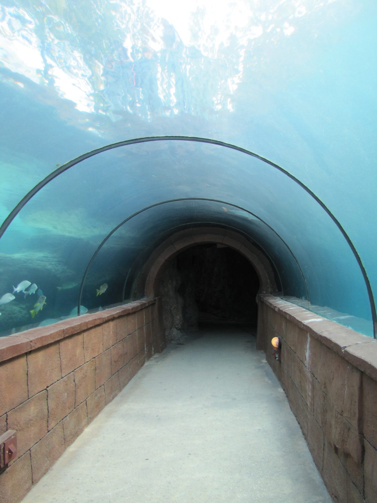 Walking through the glass tunnel
