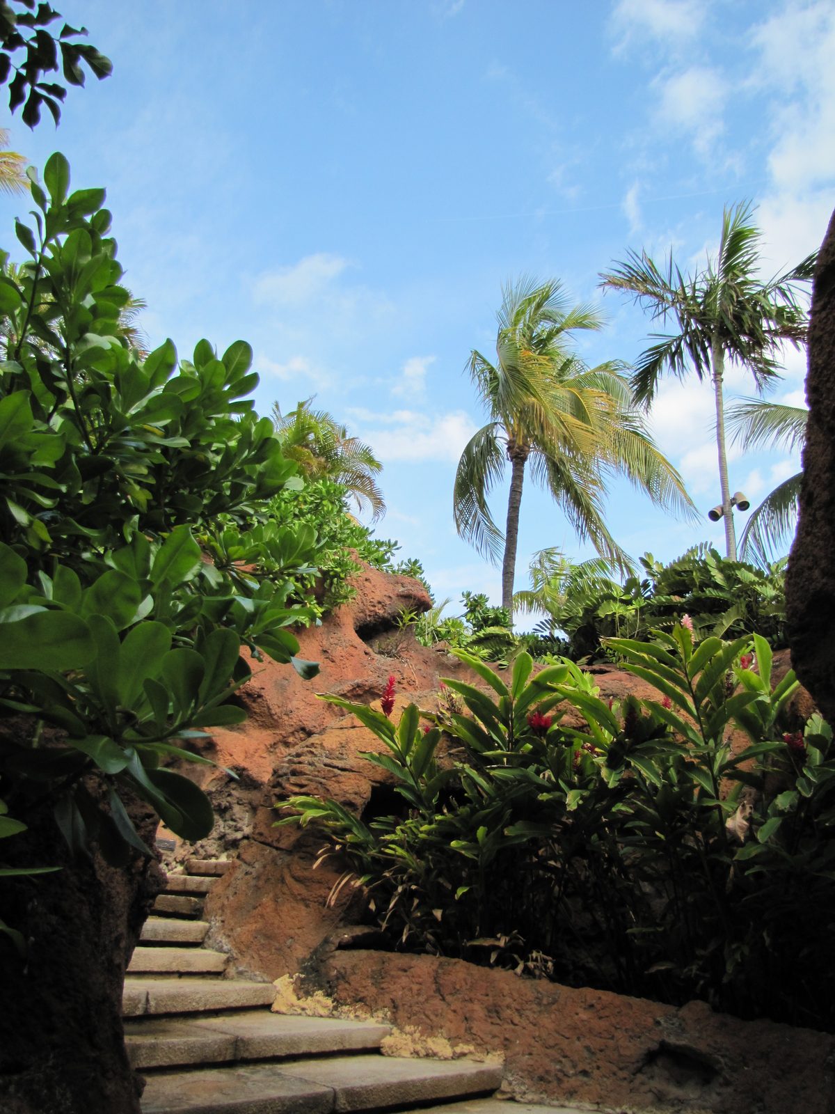 A stone stairway through the gardens at Atlantis