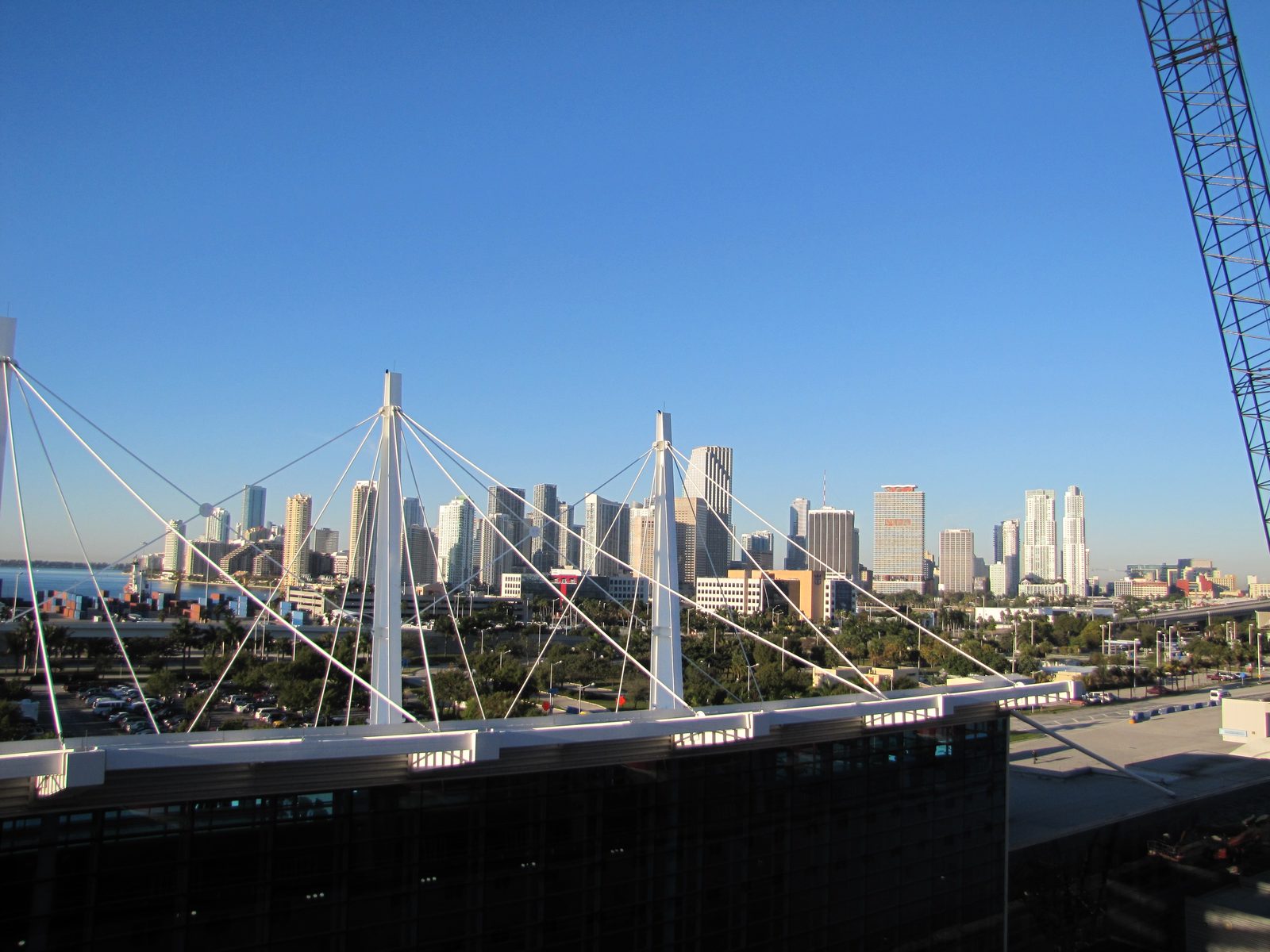 Miami skyline in full daylight