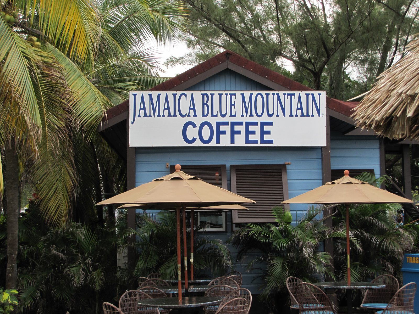 Jamaica Blue Mountain Coffee stand in Ocho Rios