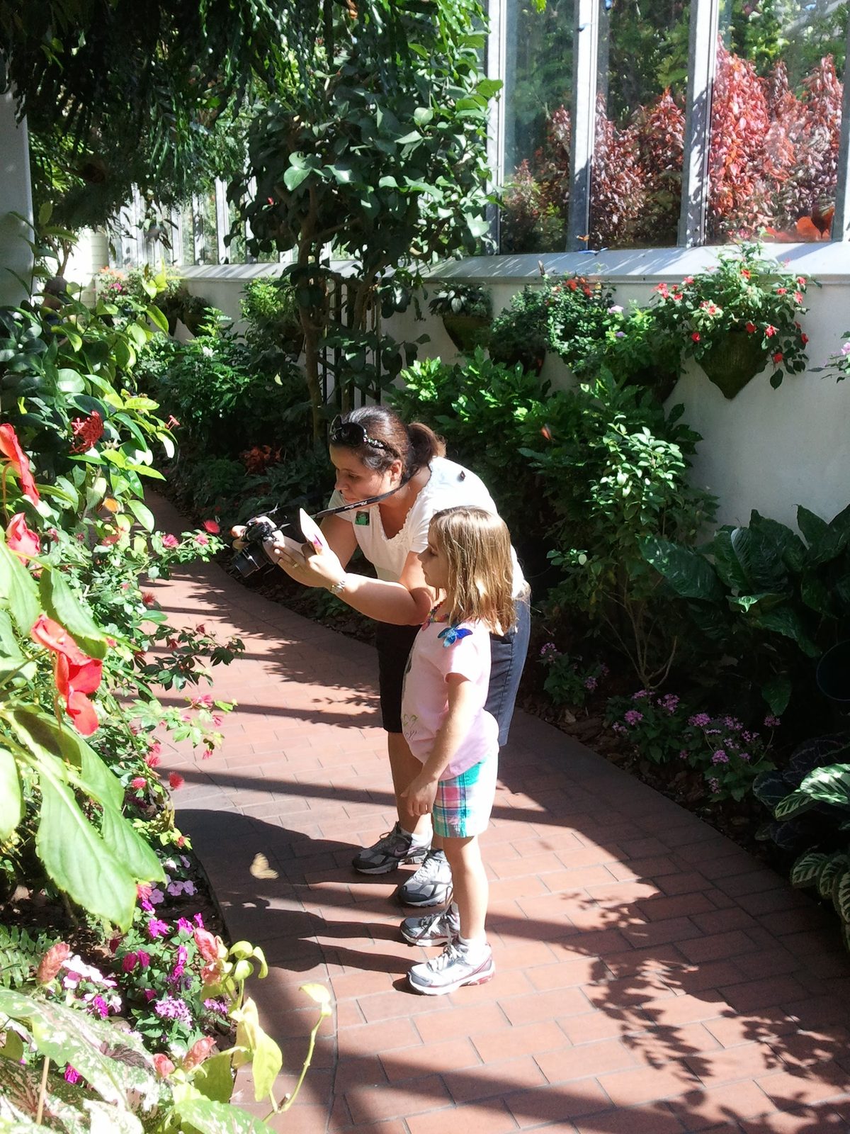 Kathy and Lisa looking for butterflies in the garden