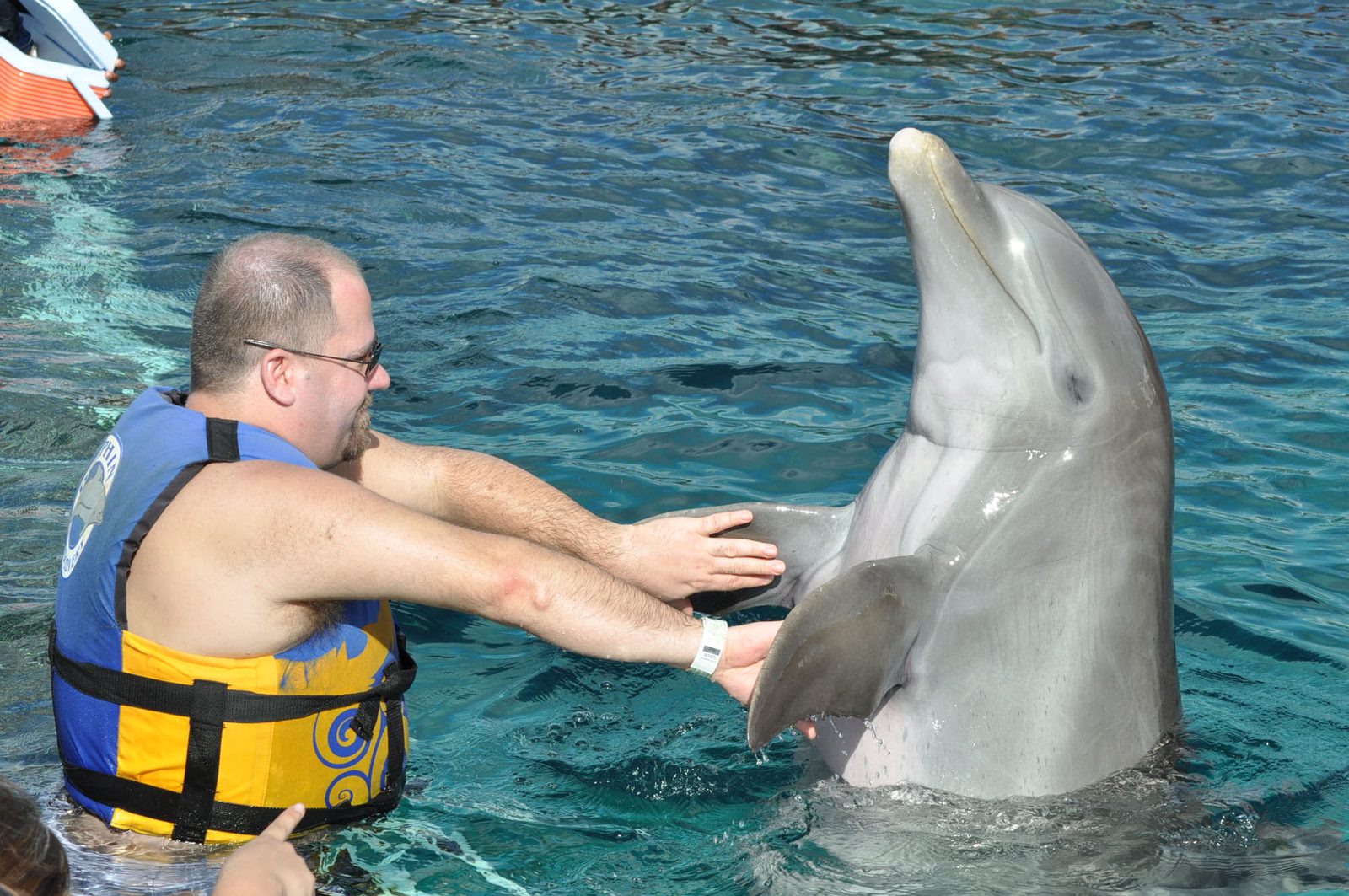 Michael reaching out to a dolphin at Chankanaab