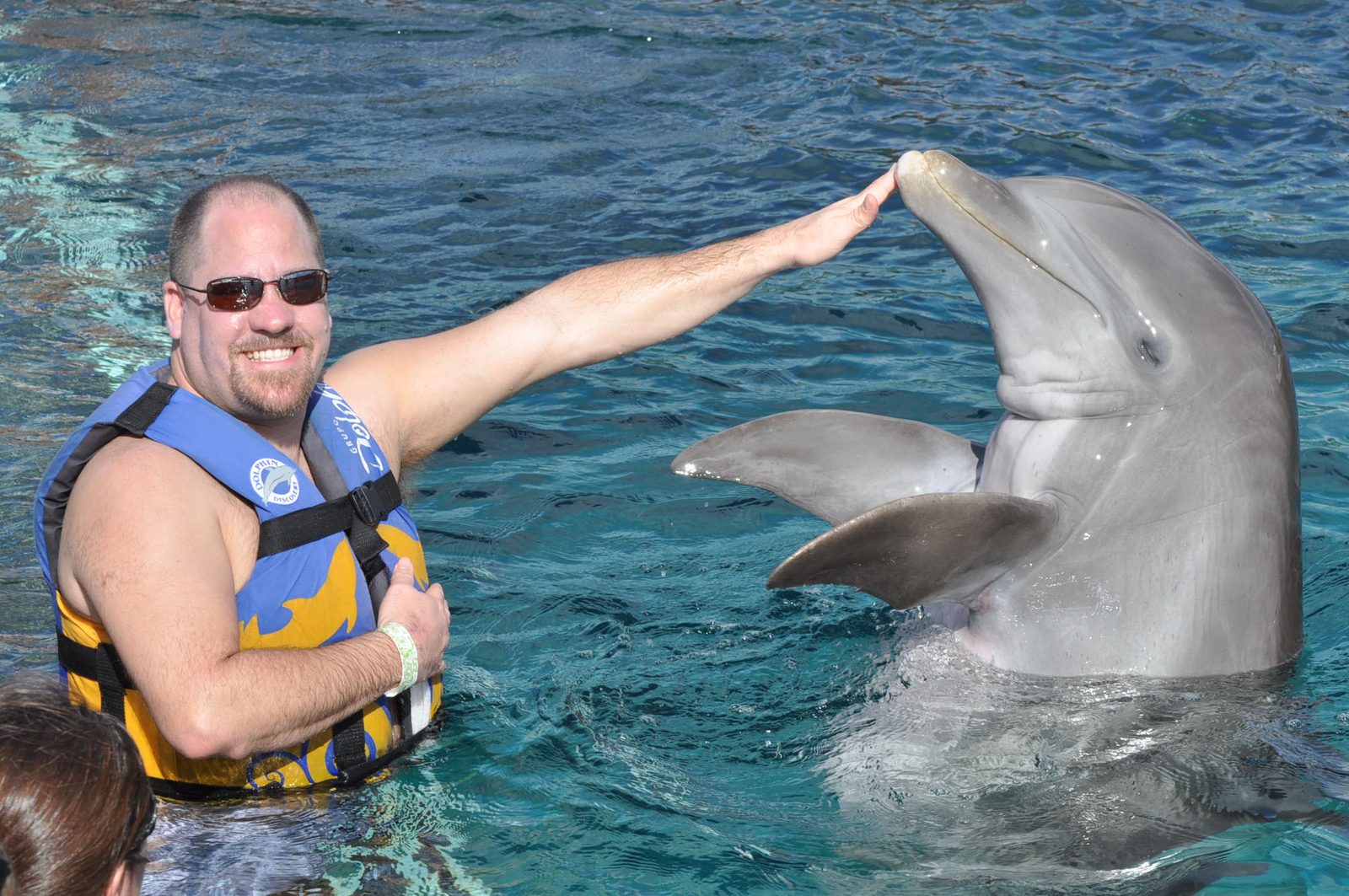 Michael touching a dolphin's nose at Chankanaab