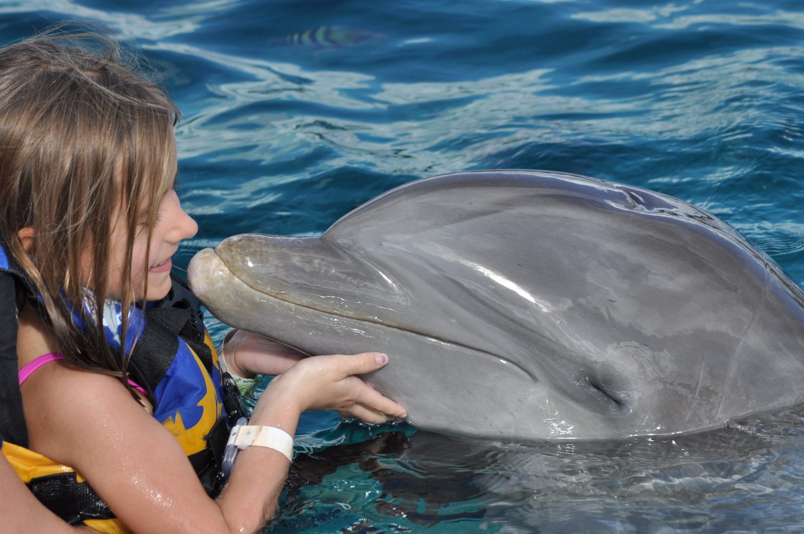 Lisa kissing a dolphin at Chankanaab