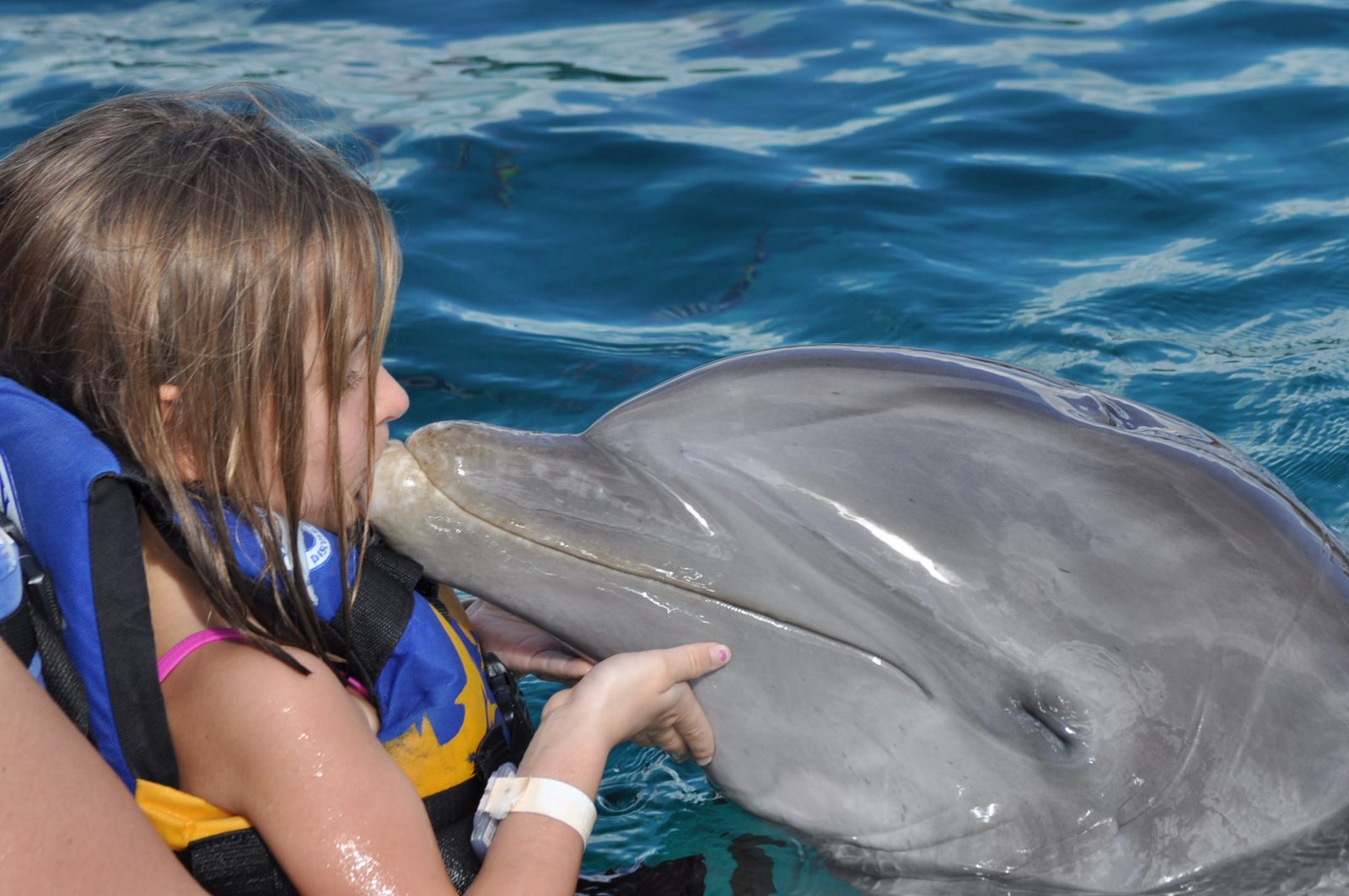 Lisa kissing a dolphin at Chankanaab