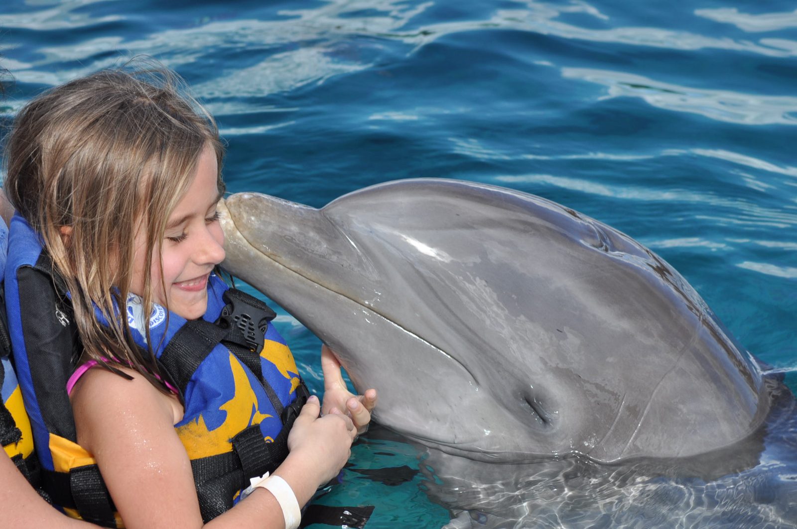 Lisa hugs a dolphin