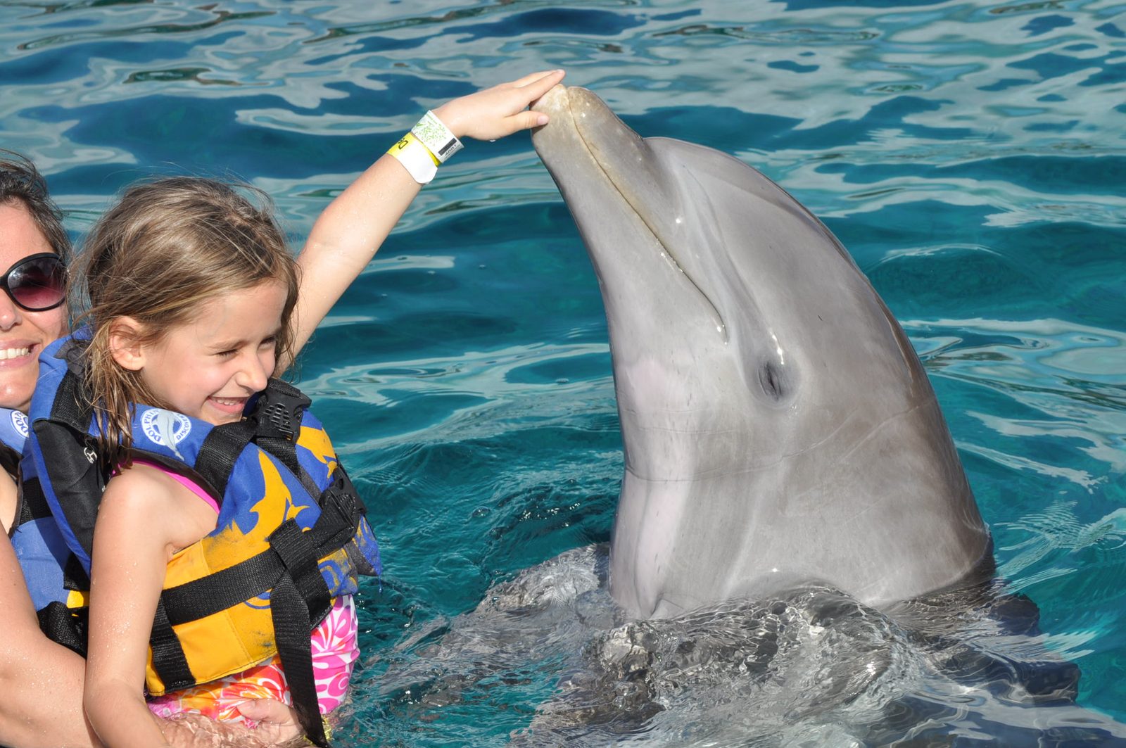Lisa touching a dolphin's nose at Chankanaab