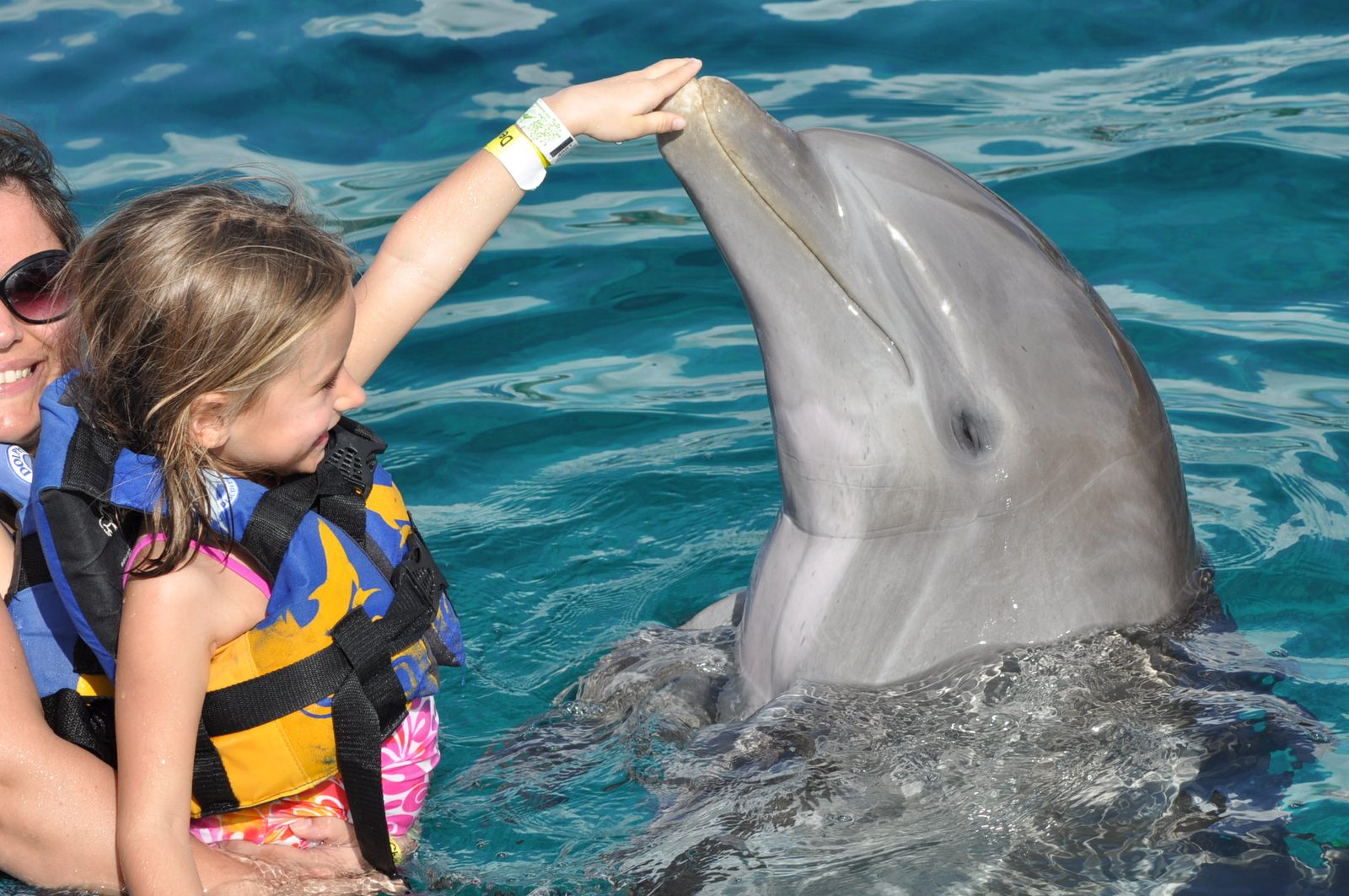Lisa reaching up to touch a dolphin at Chankanaab