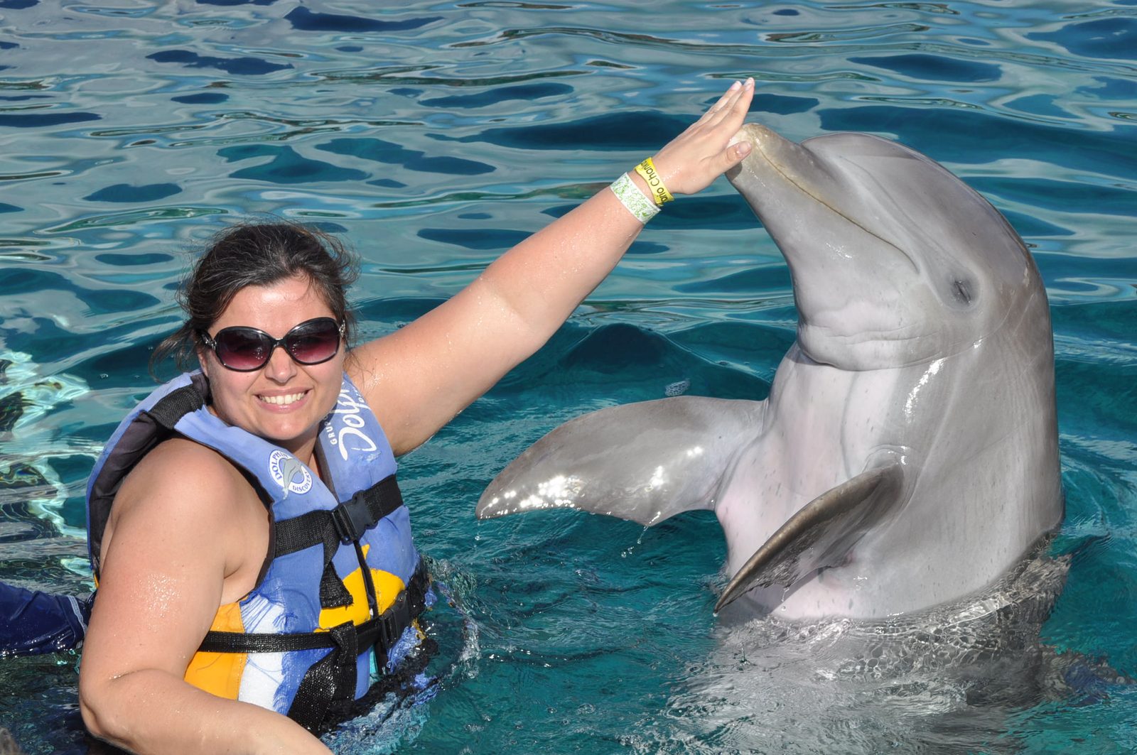 Kathy touching a dolphin's nose at Chankanaab