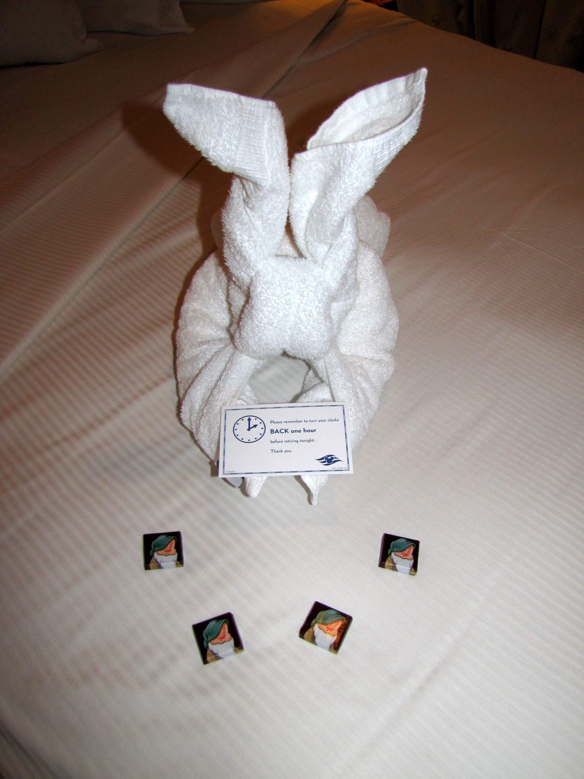 The towel bunny waiting on our bed