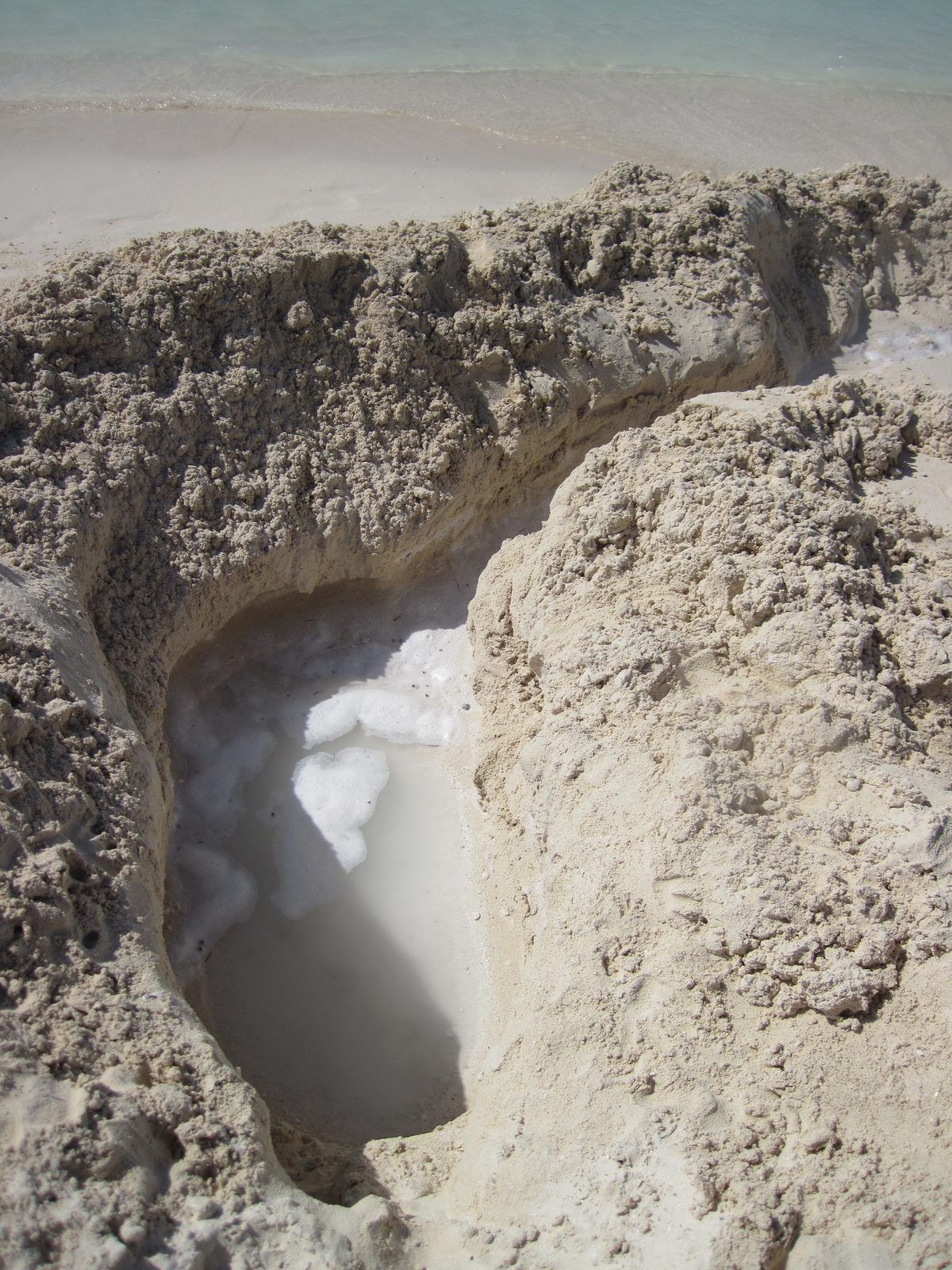 The trench and pool we dug on Castaway Cay