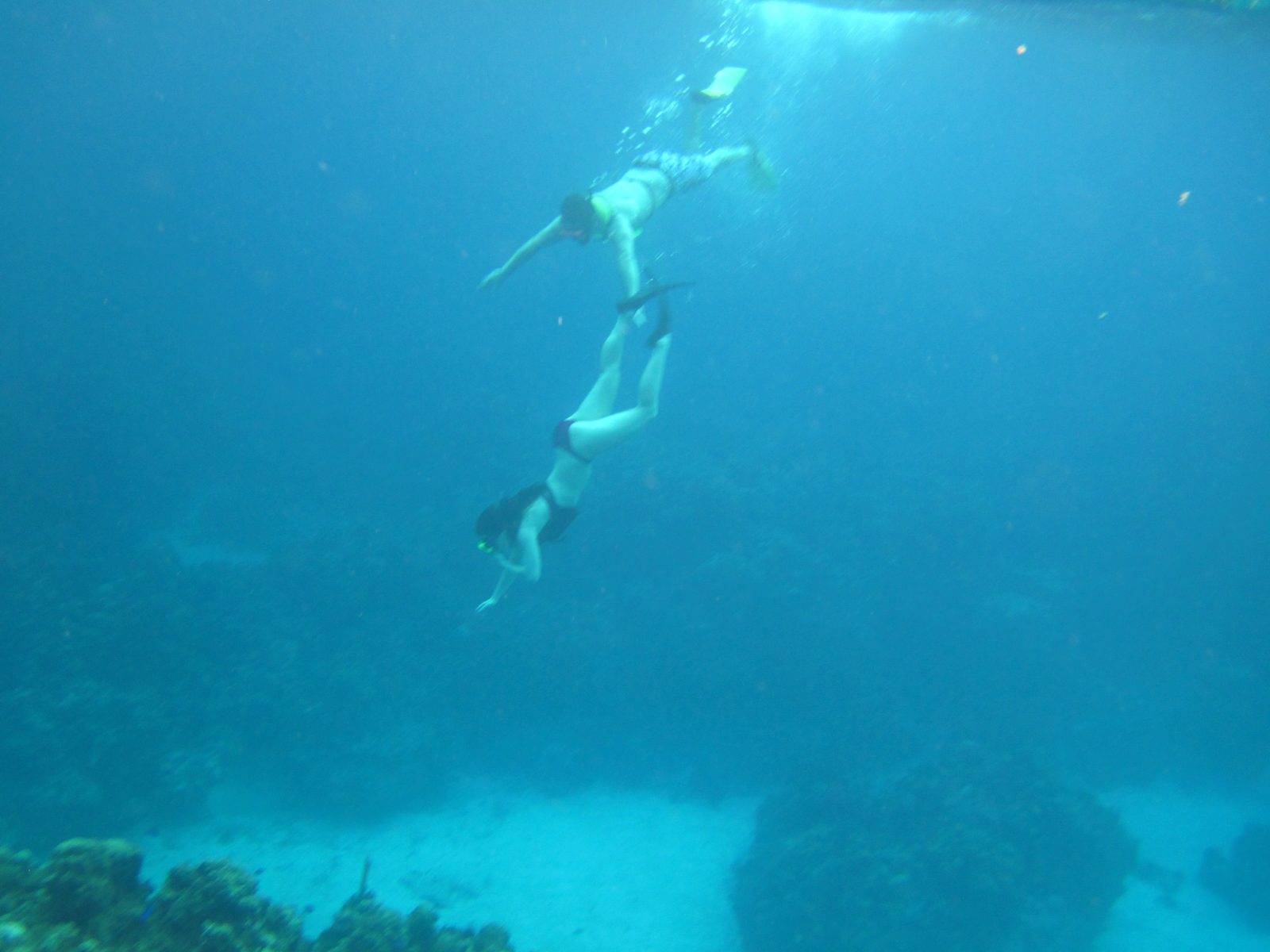 Snorkeling over the reef