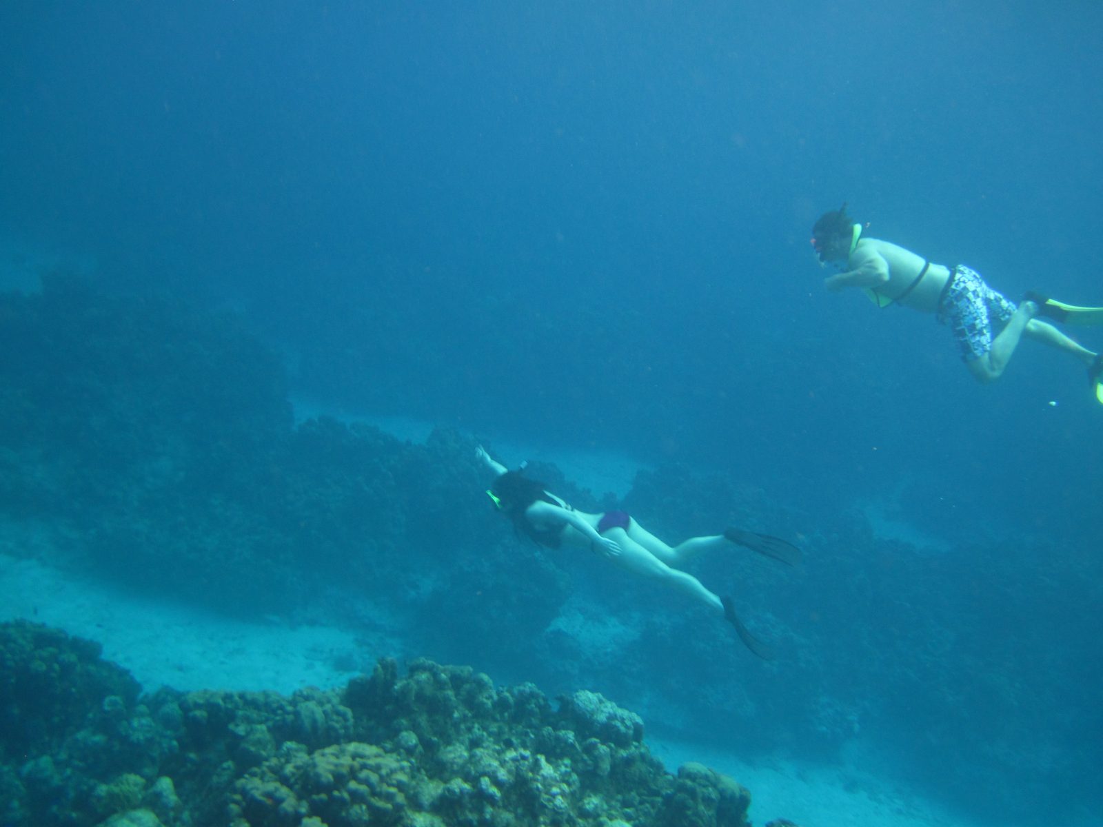 Snorkelers over the reef at Grand Cayman