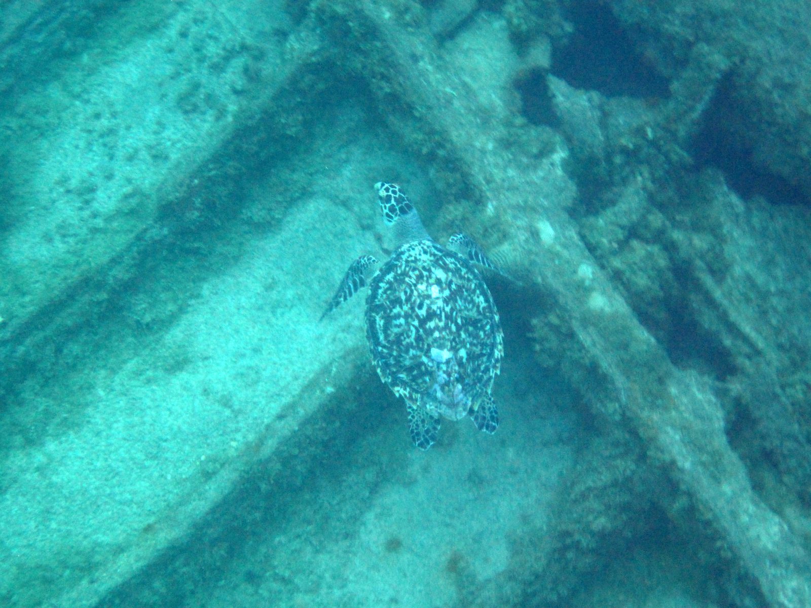 Grand Cayman, Cayman Islands