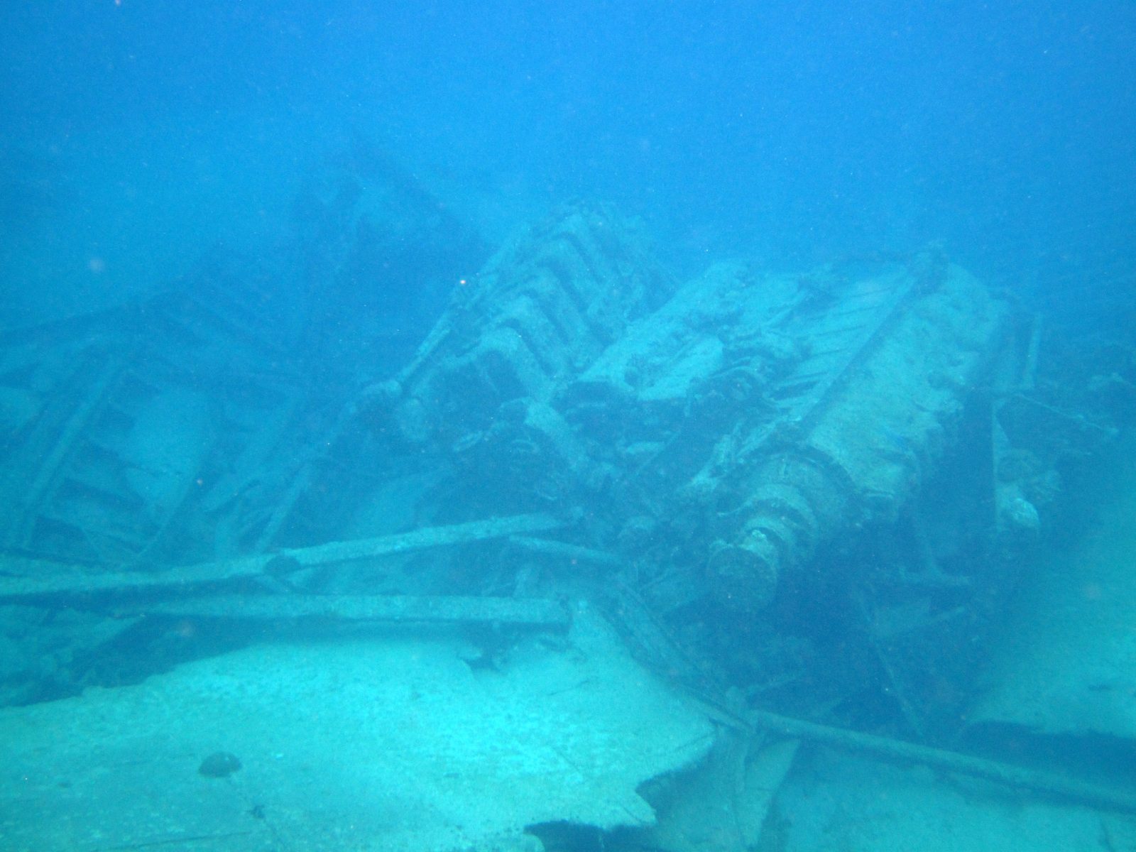The wreck we snorkeled at Grand Cayman