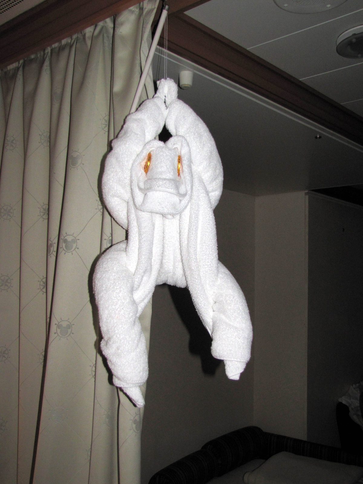 The towel monkey in our stateroom