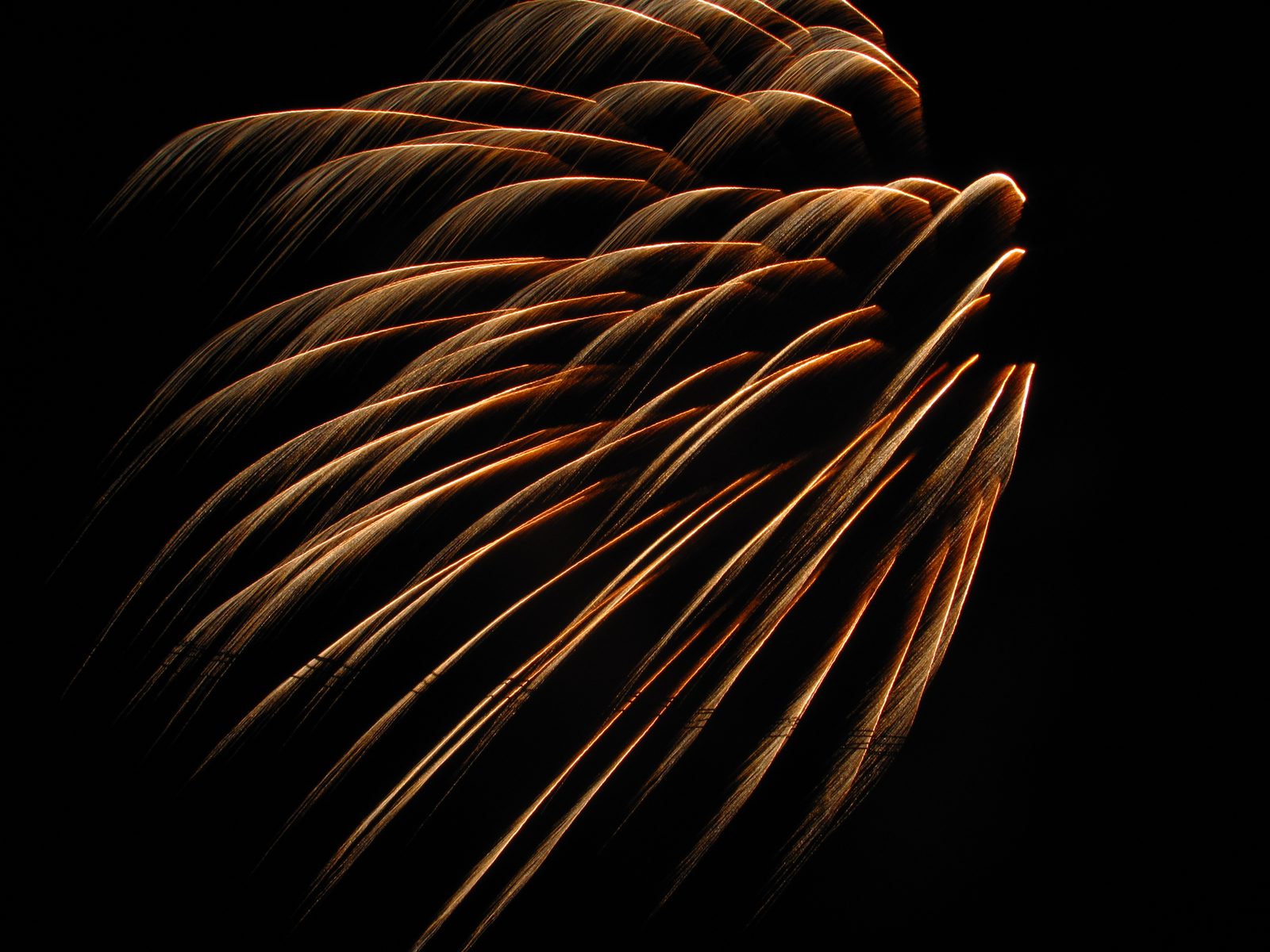 Fireworks at the end of Pirate Night