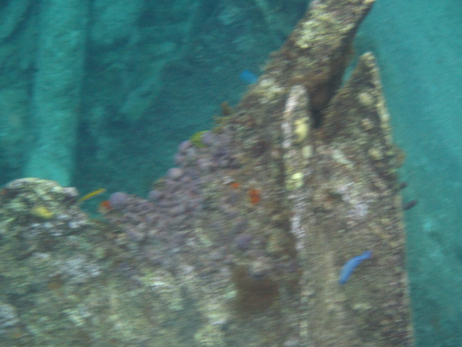 More of the wreck's timbers