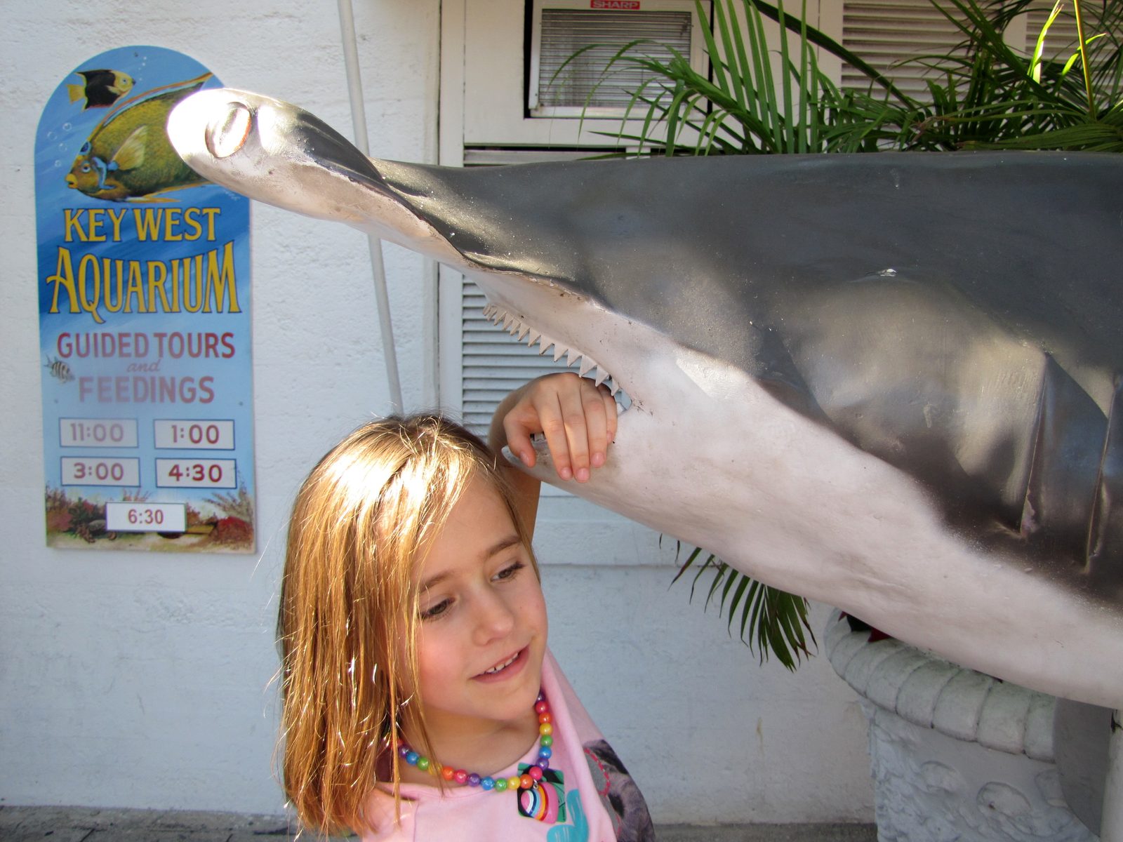 Reaching for the shark at the aquarium