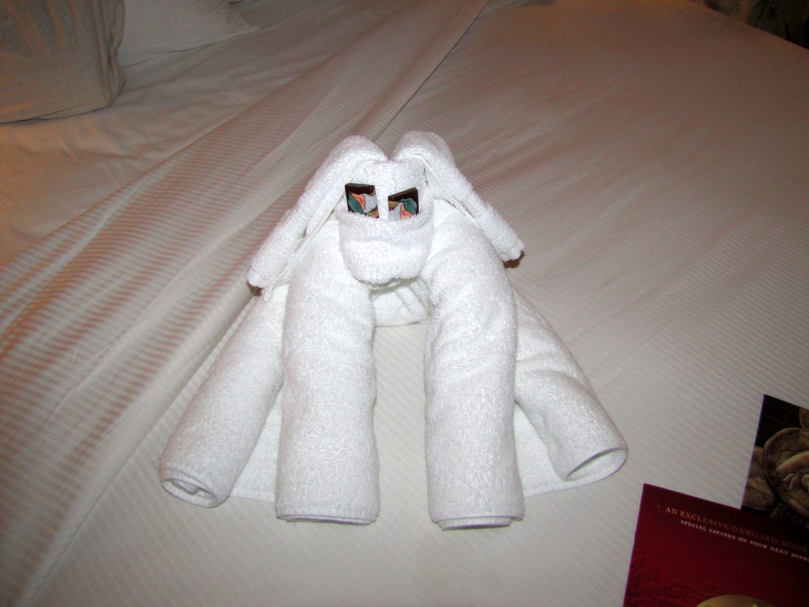 A towel animal waiting on our bed