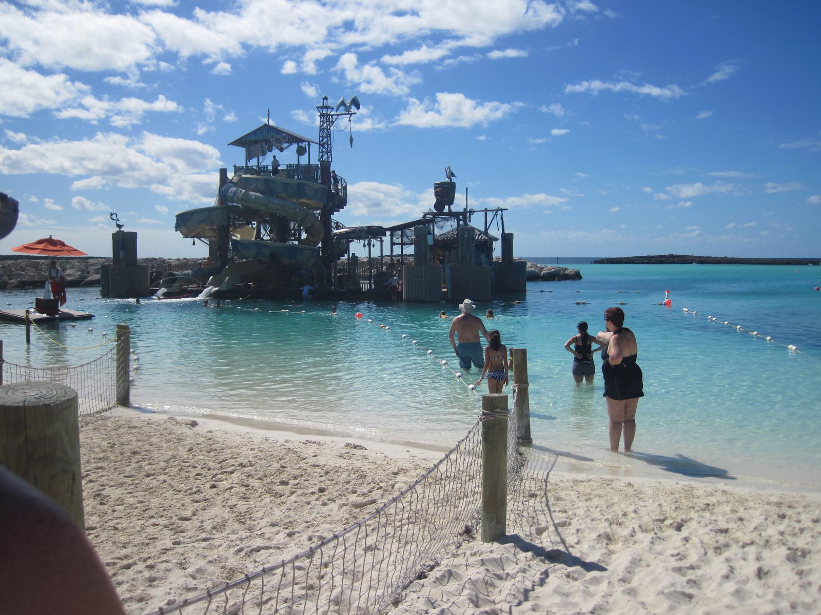 Pelican Plunge