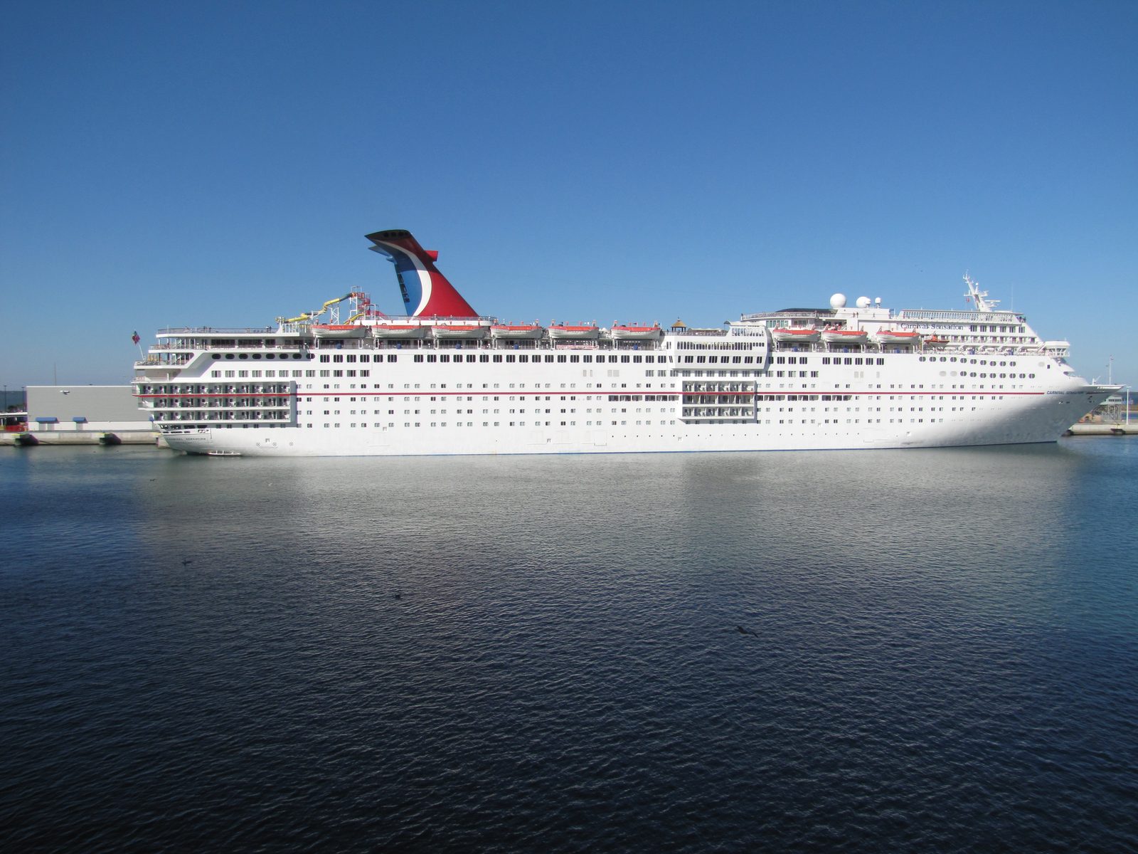 The Carnival ship next door at Port Canaveral