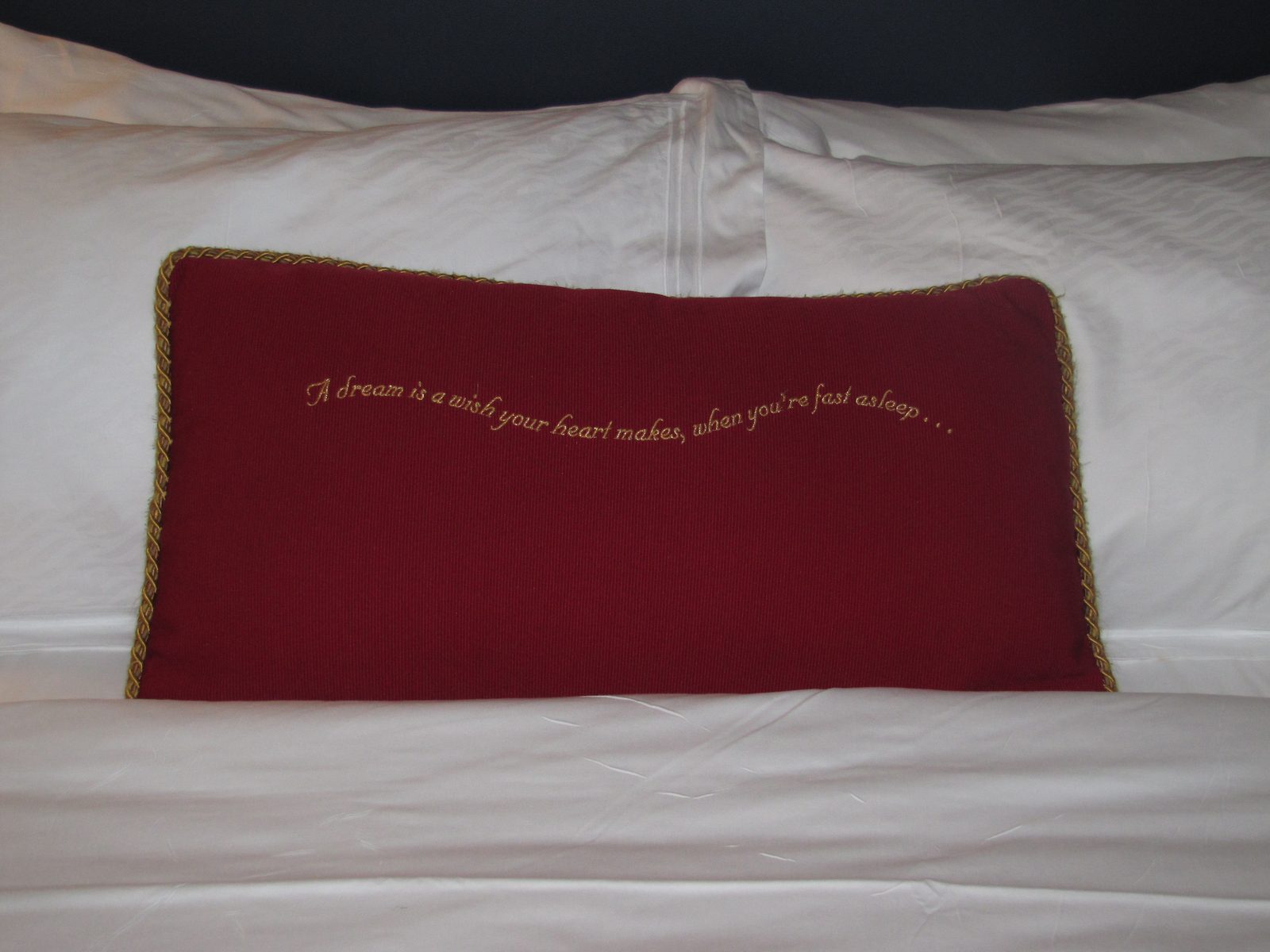 Our stateroom pillow, a dream is a wish