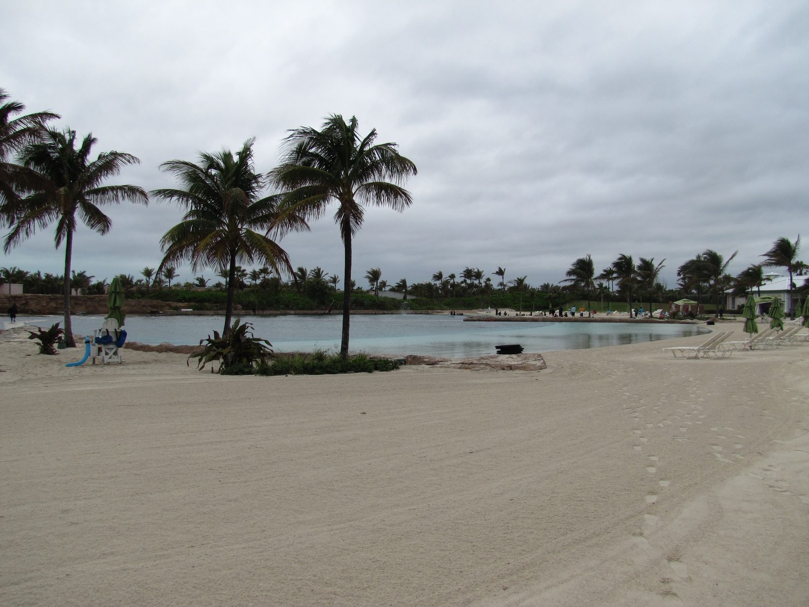 The beach at Dolphin Cay, Atlantis