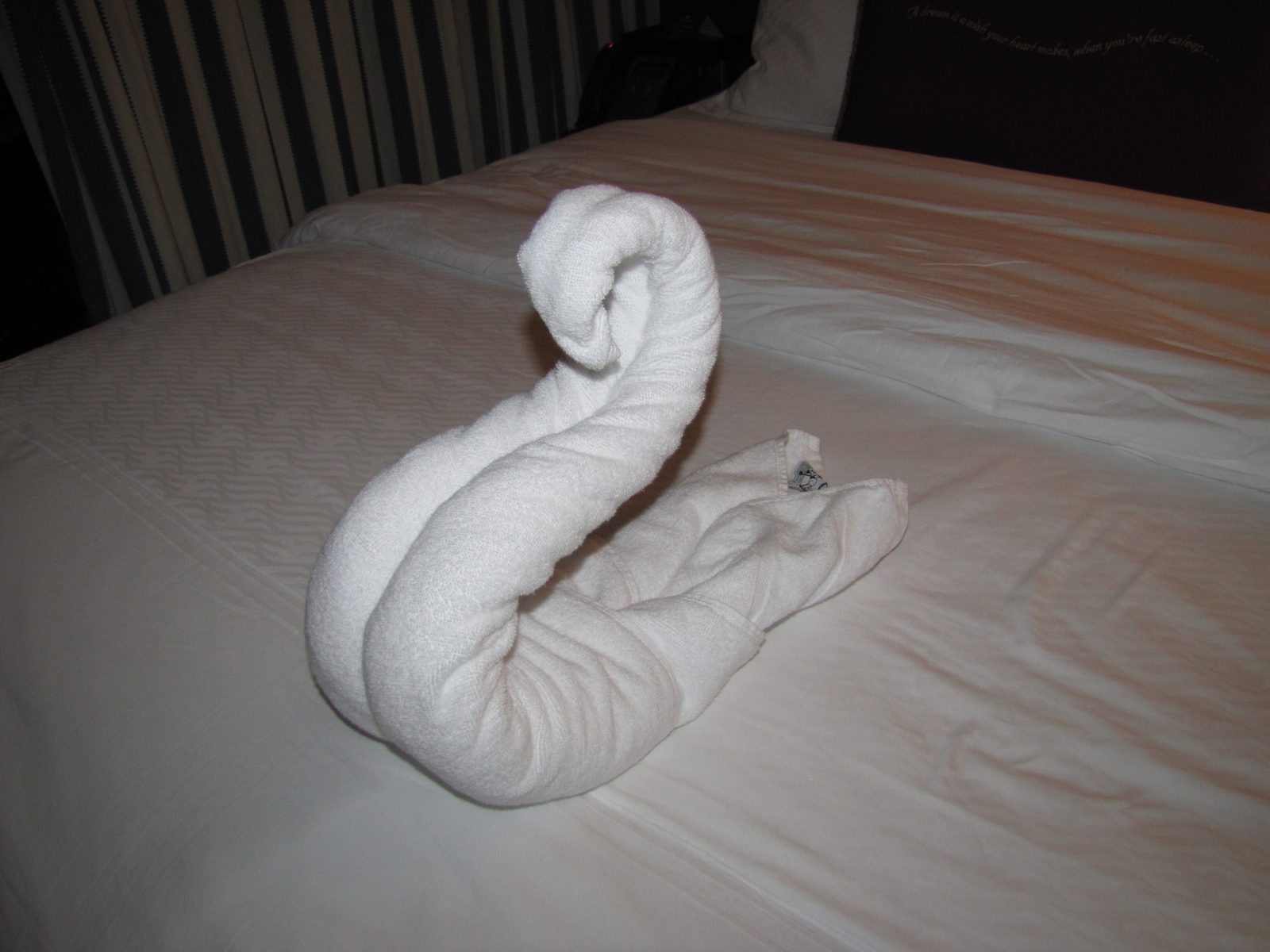 Towel art on our final night
