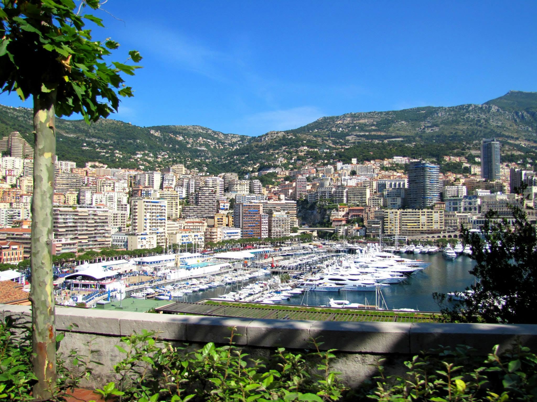The Monte Carlo harbor full of yachts