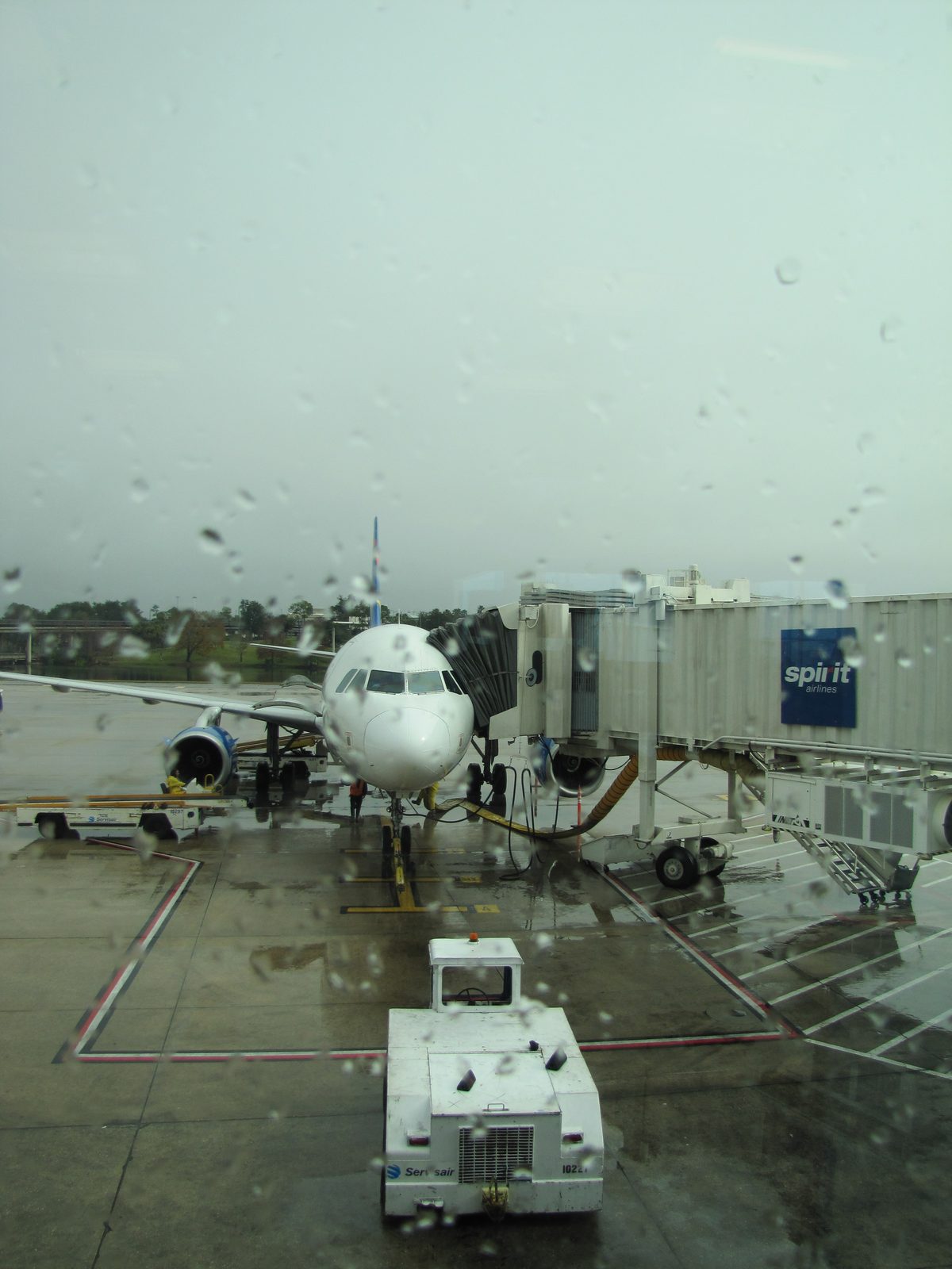 A rainy morning at the gate