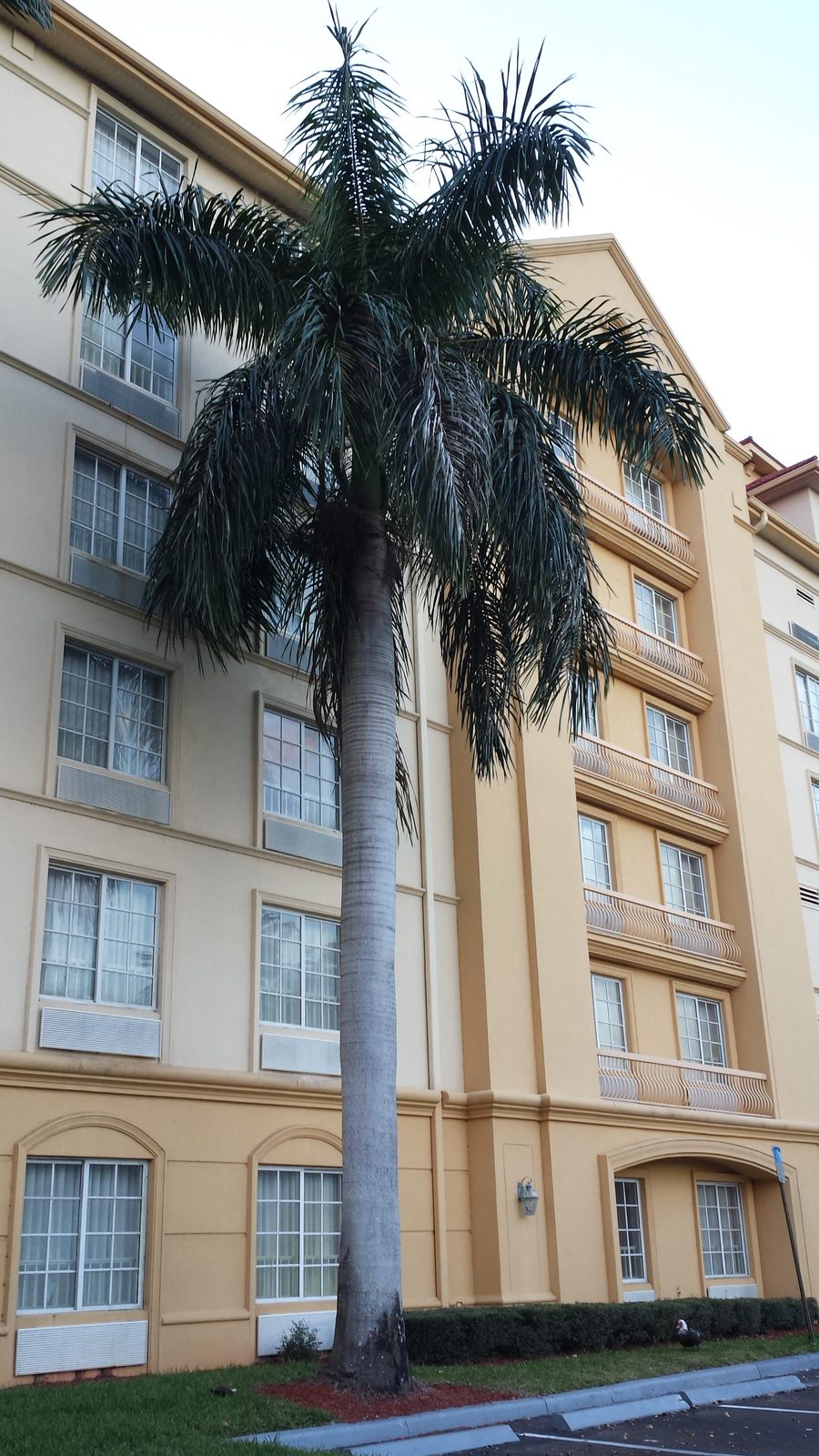 Our hotel on boarding morning