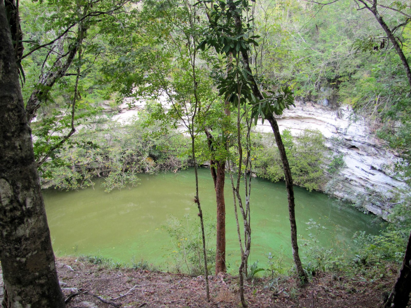 The Cenote Sagrado at Chichen Itza