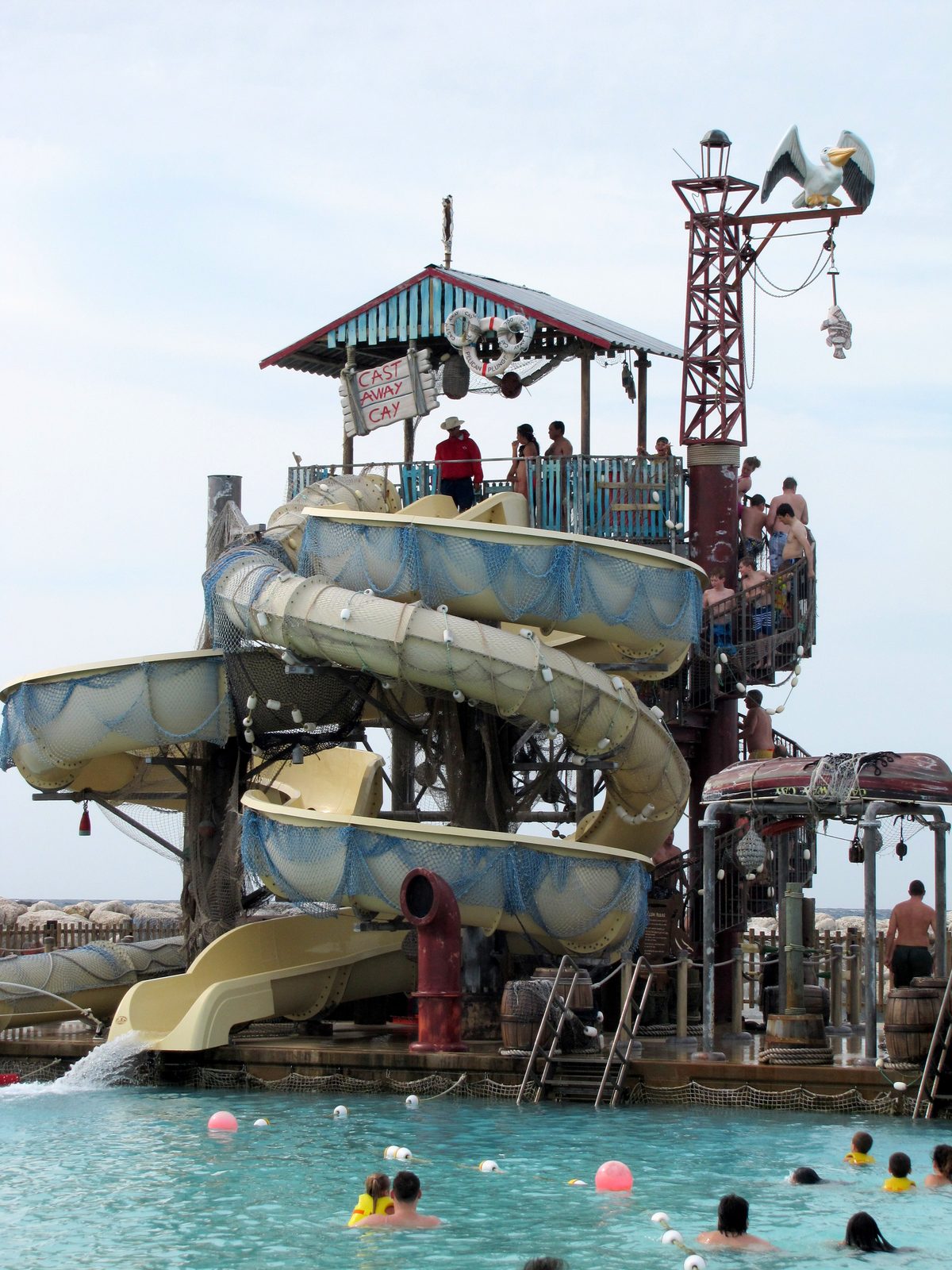 Pelican Plunge at Castaway Cay