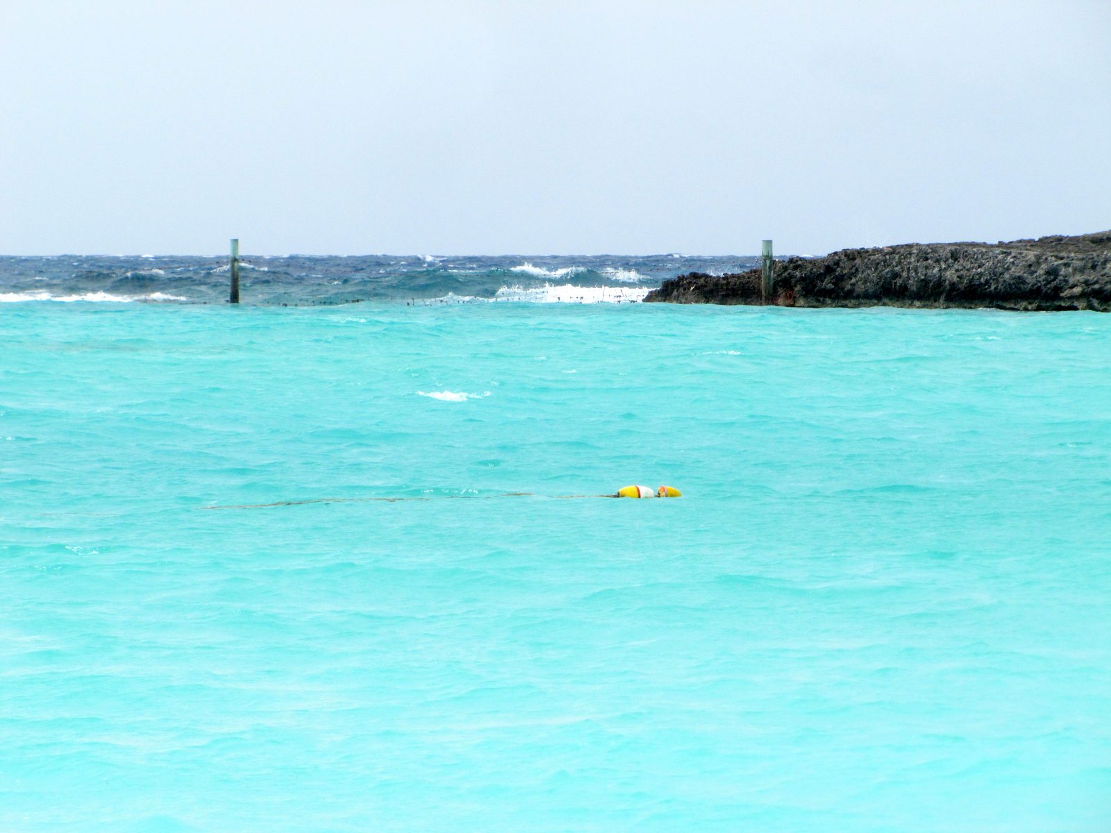 Photo: Day at Sea, day 5