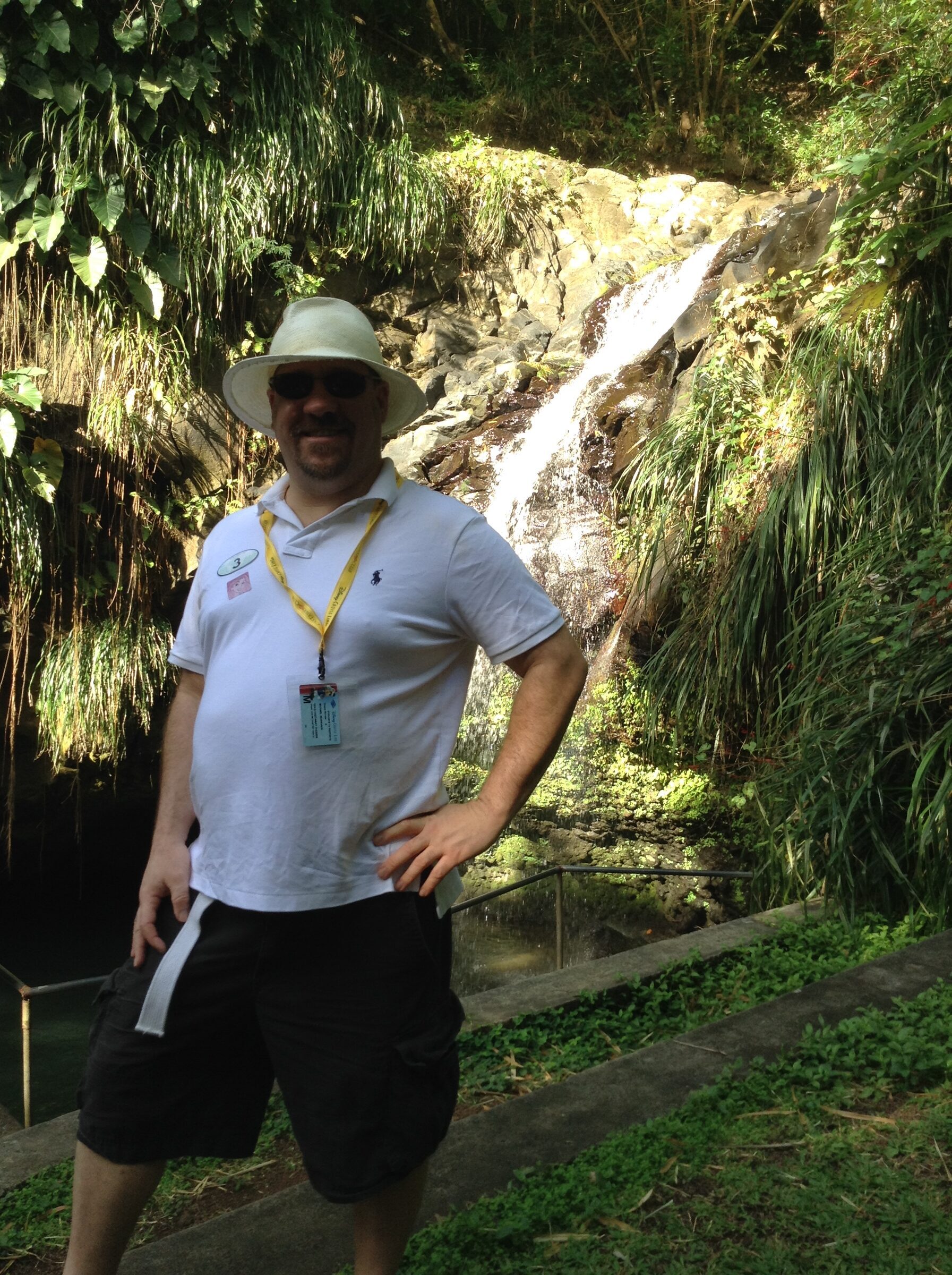 Down at the foot of Annandale Falls