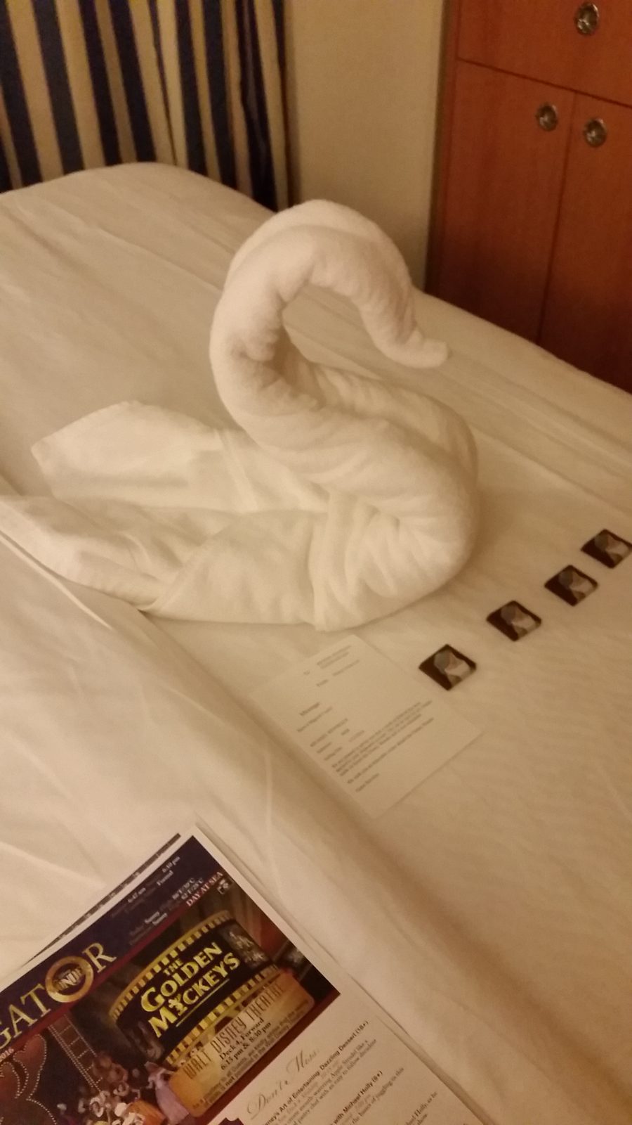 A towel animal waiting in our stateroom