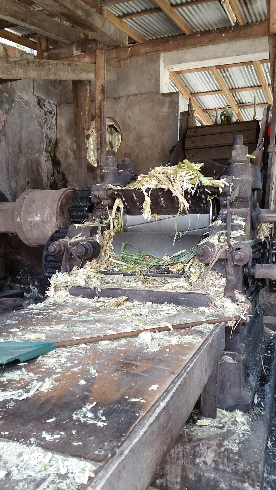 The sugar cane crusher at the rum distillery in Grenada