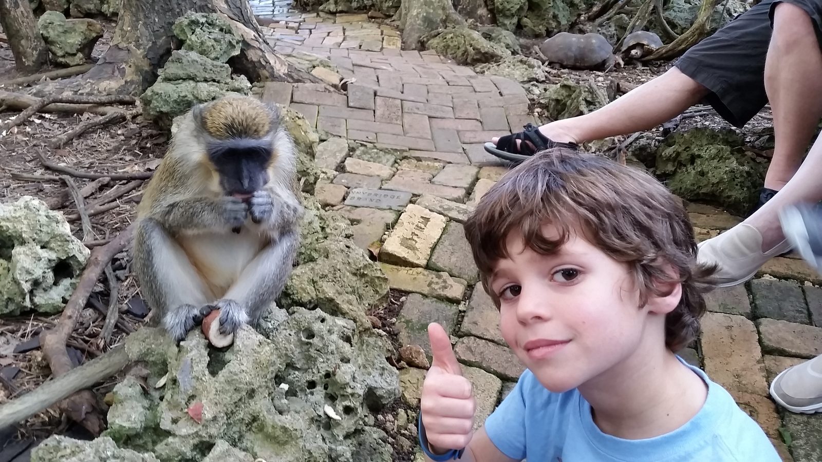 Thomas and a monkey at the Barbados Wildlife Reserve