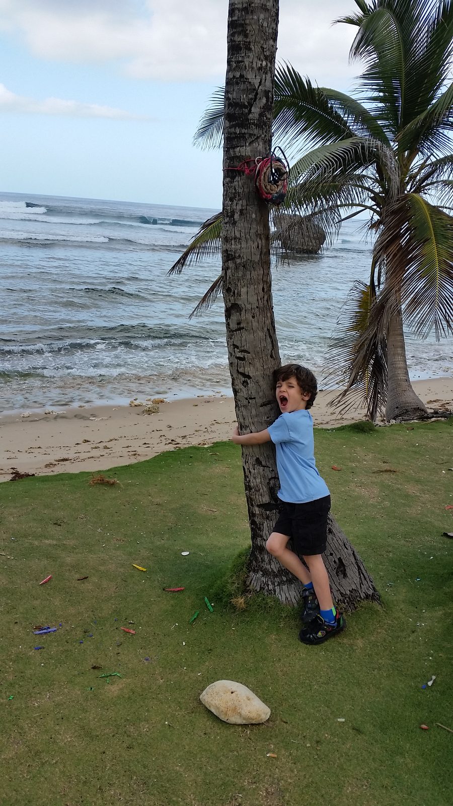 Thomas hugging a palm tree on the Barbados coast