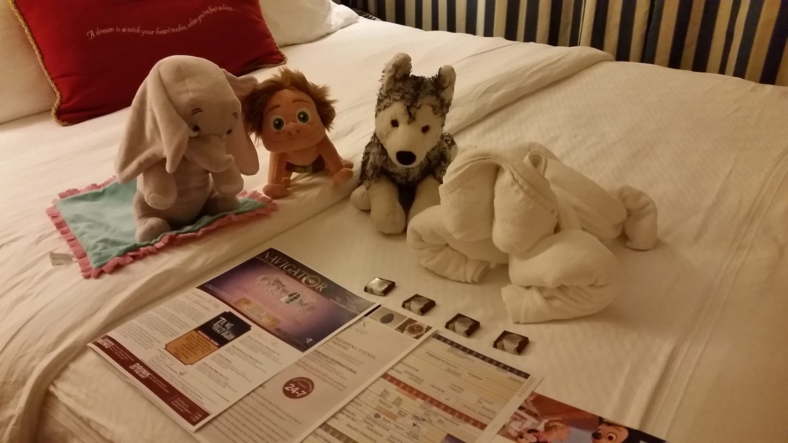 Bob turns up on the bed with the towel animals