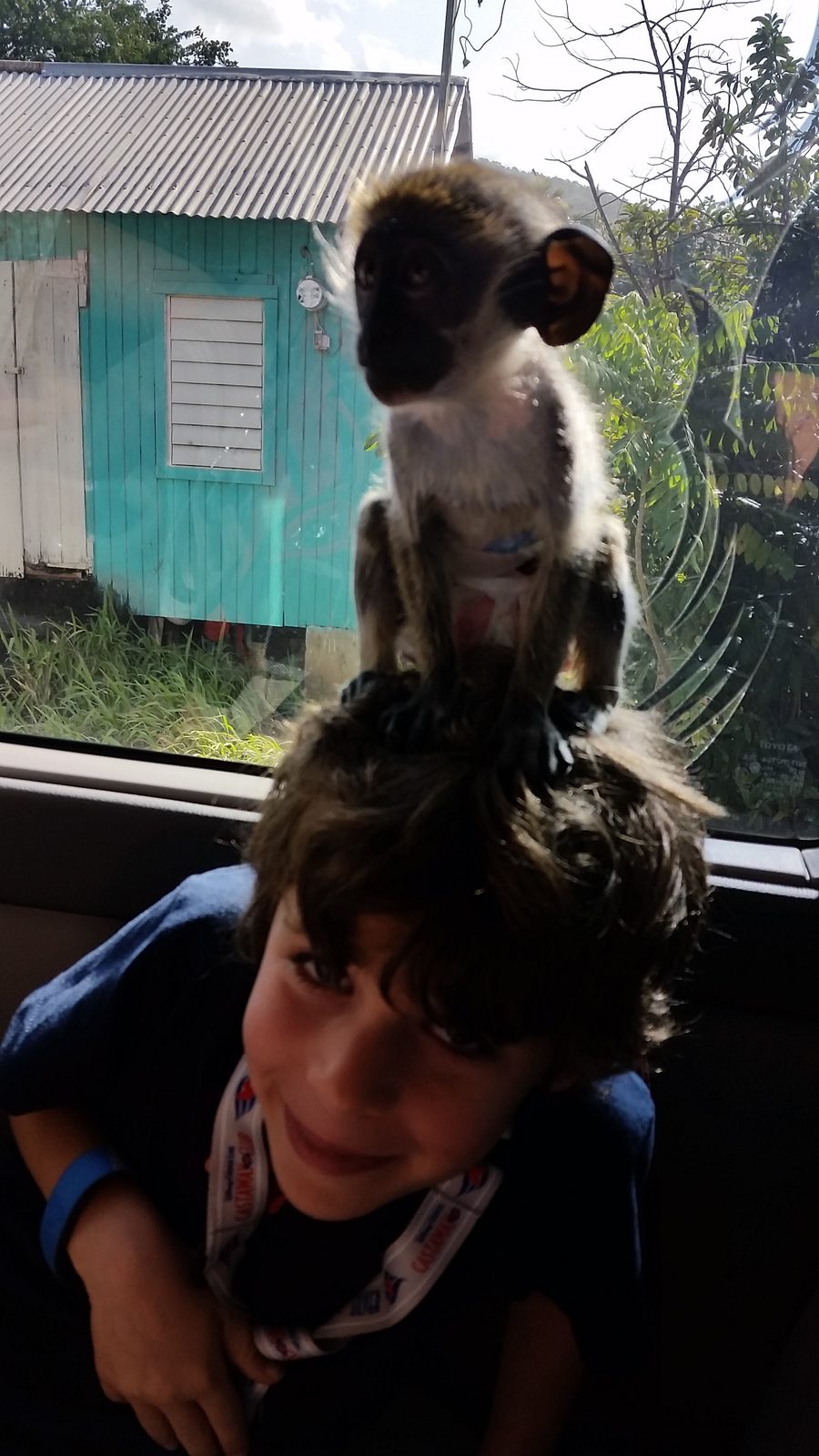 The monkey on Thomas's head