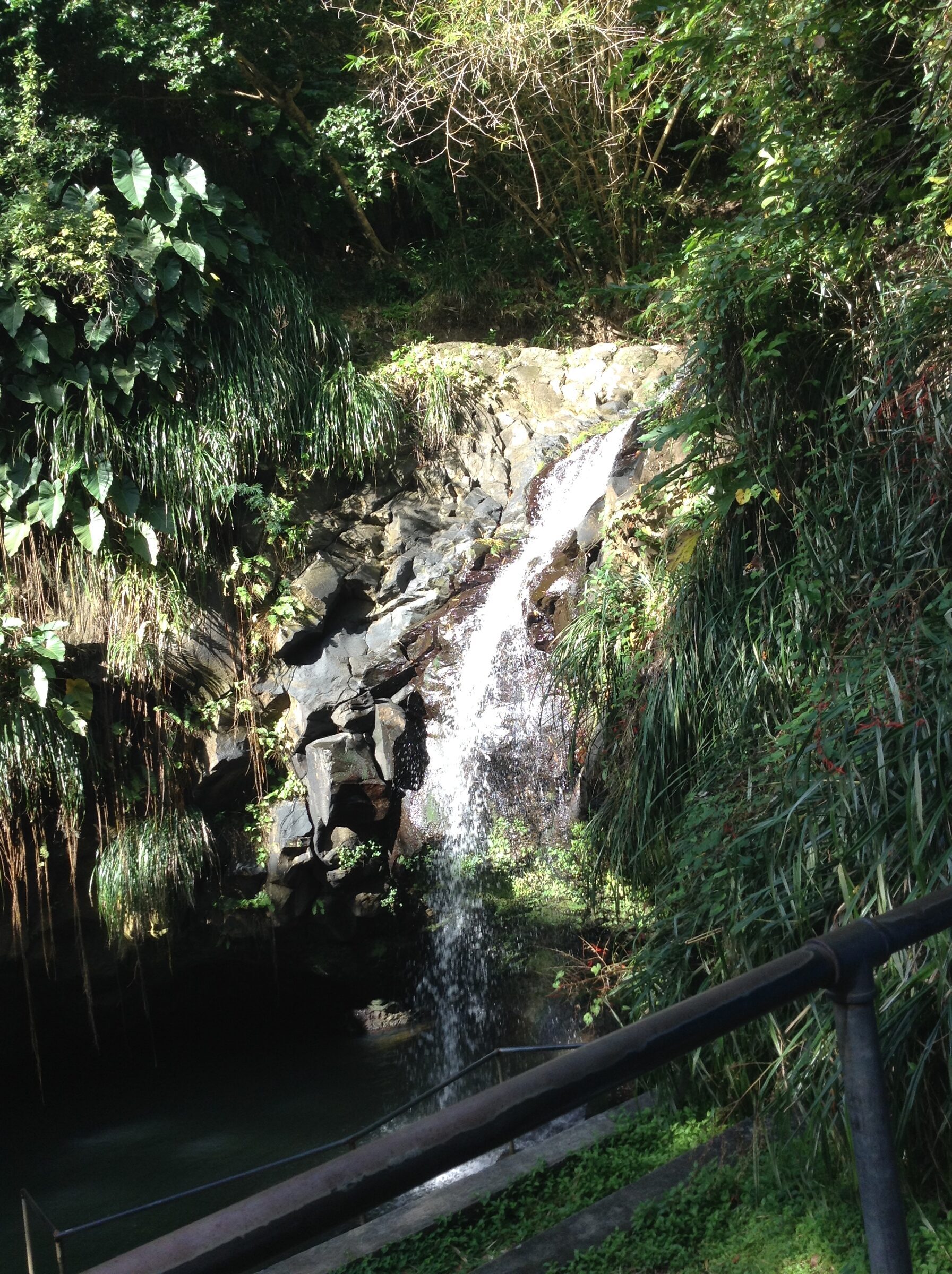 Another look at Annandale Falls