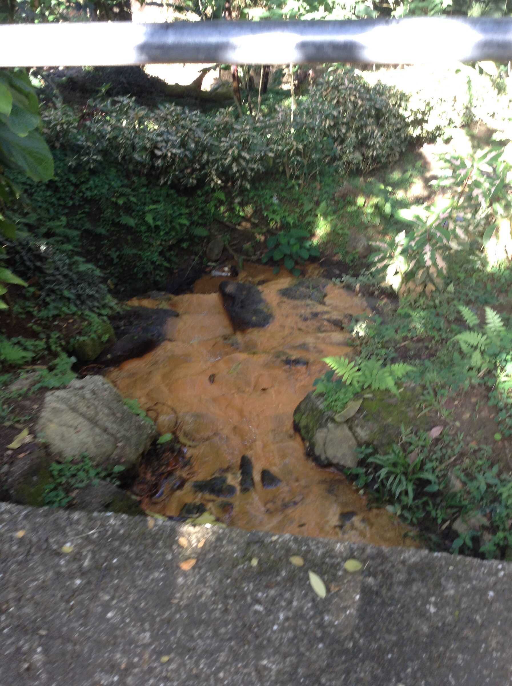 The river bed below Annandale Falls