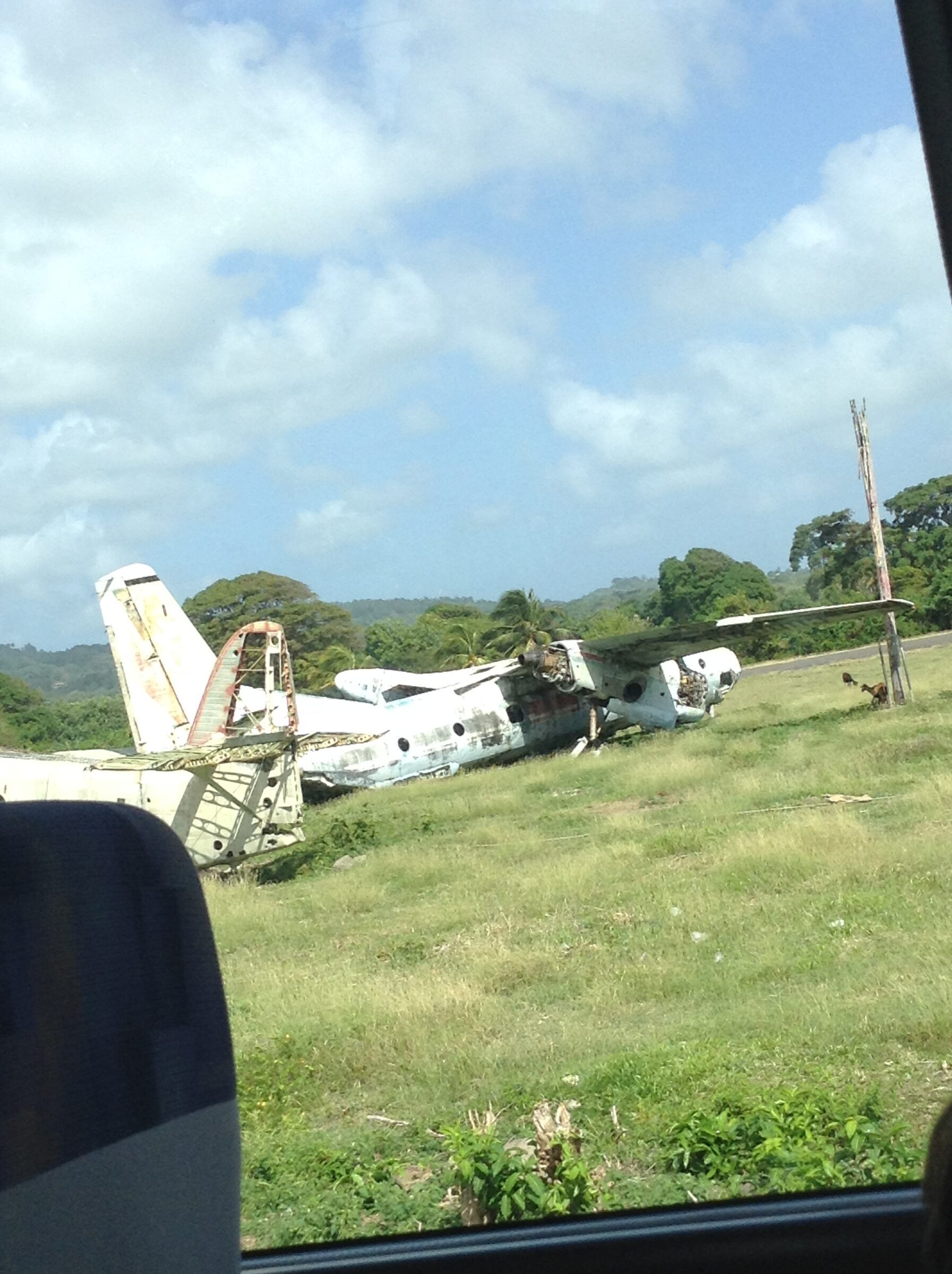 An airplane graveyard from the bus window
